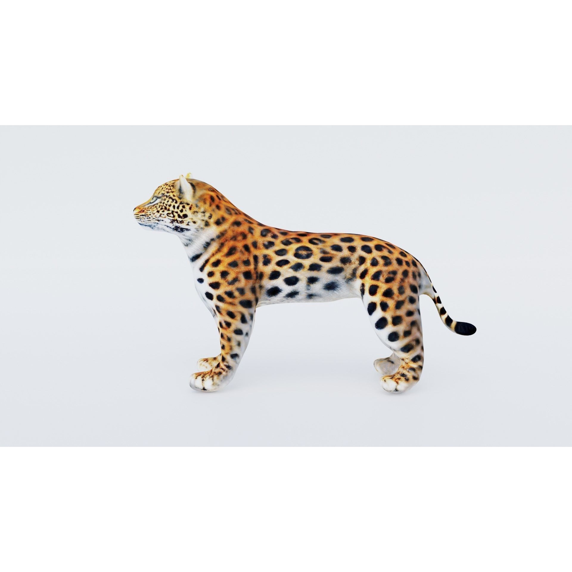 Leopard Free 3D model 2