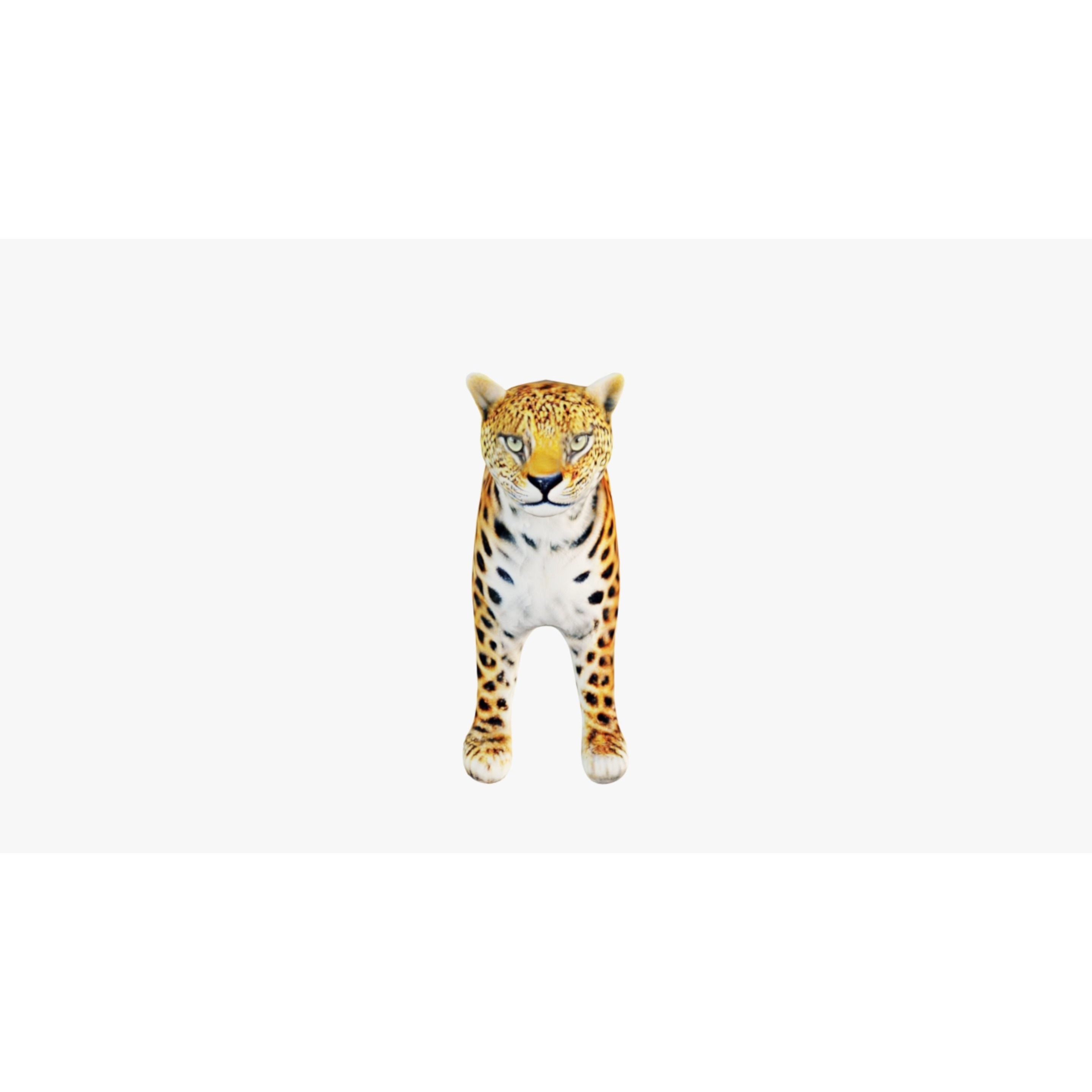 Leopard Free 3D model 3