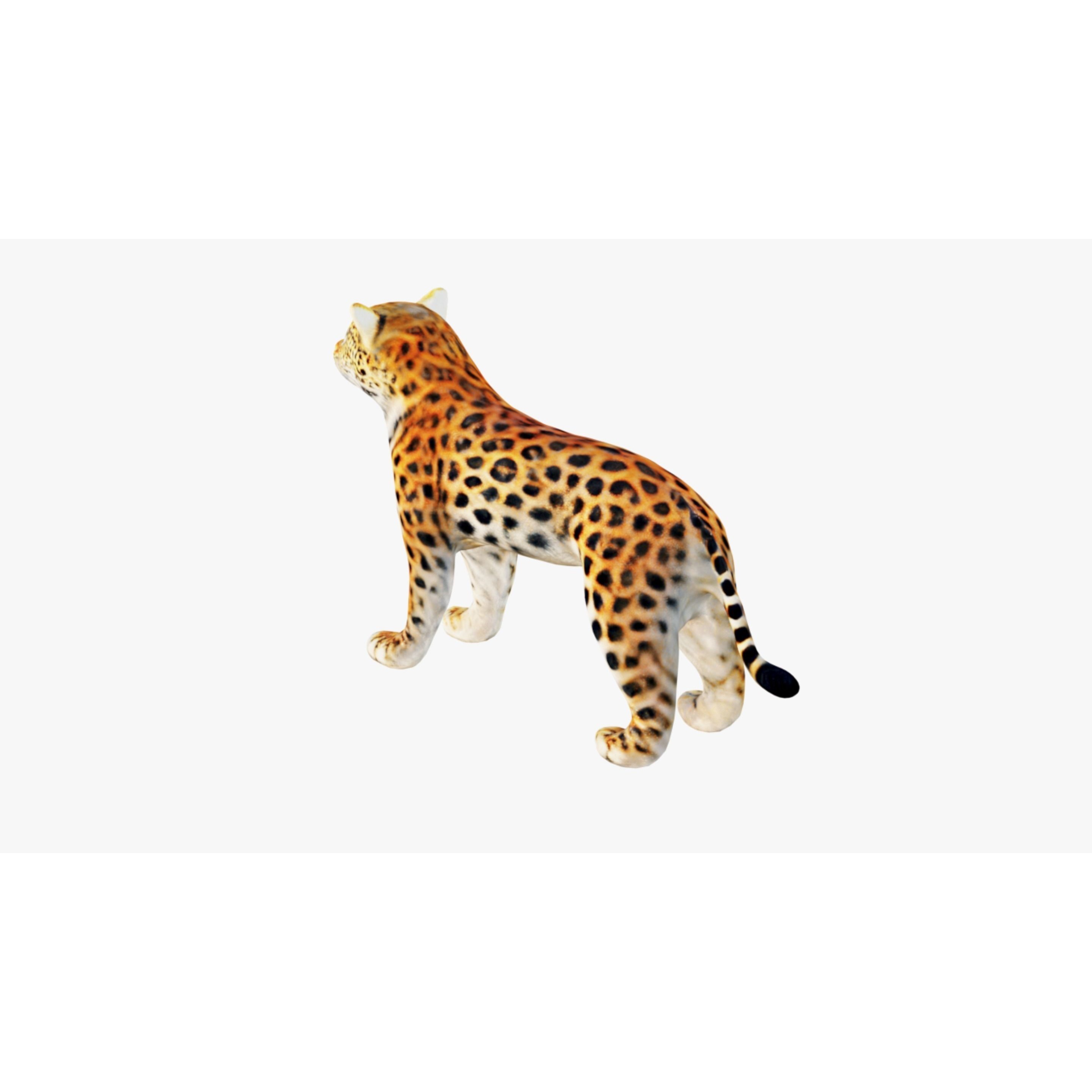 Leopard Free 3D model 4