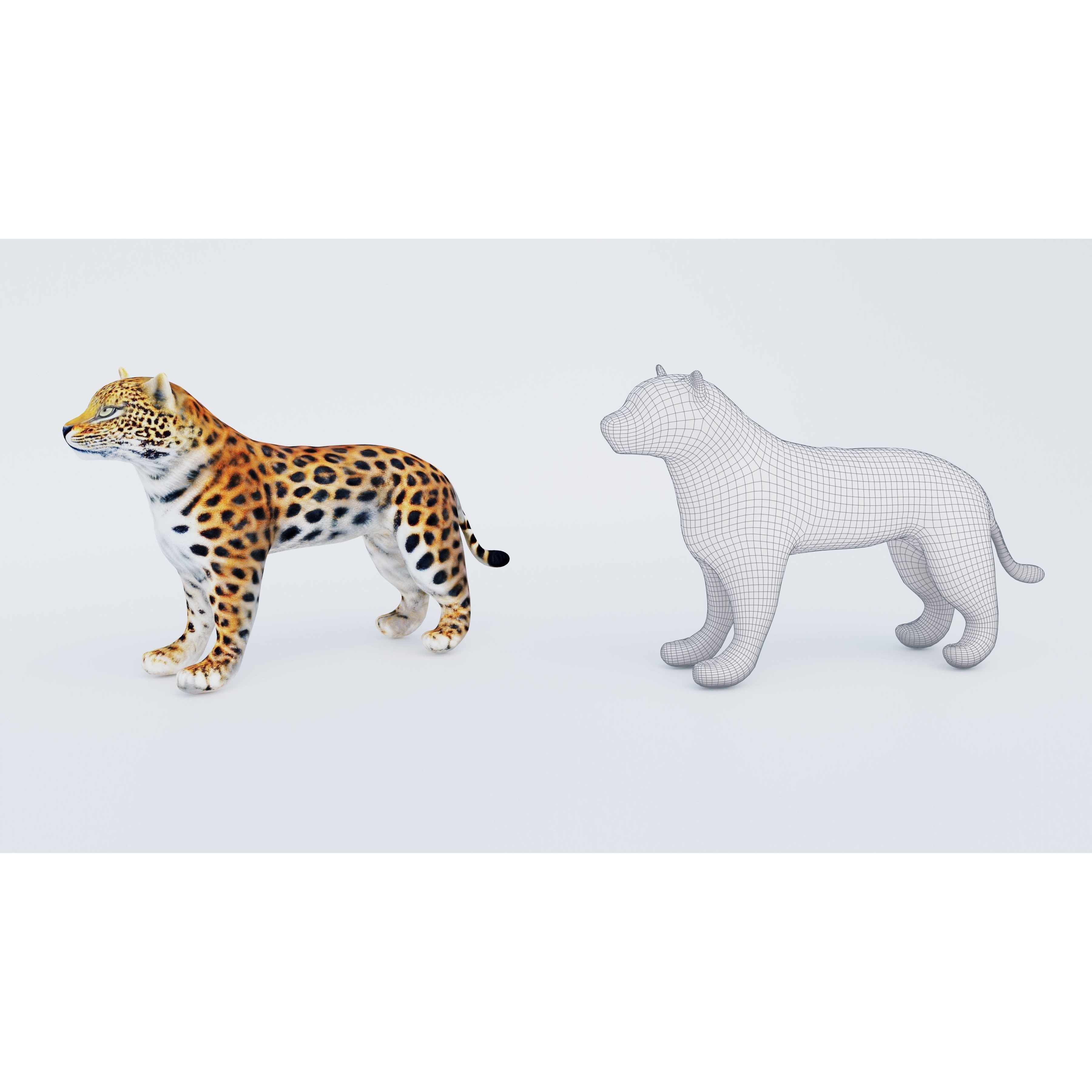 Leopard Free 3D model 6