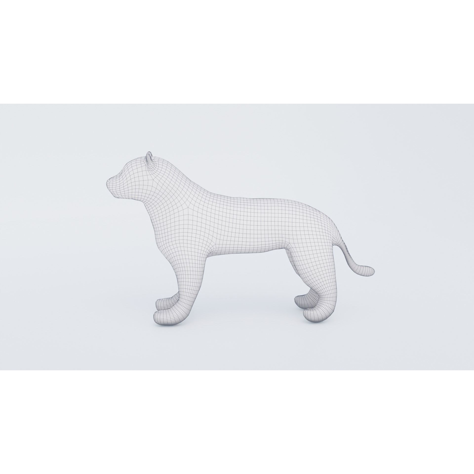 Leopard Free 3D model 7