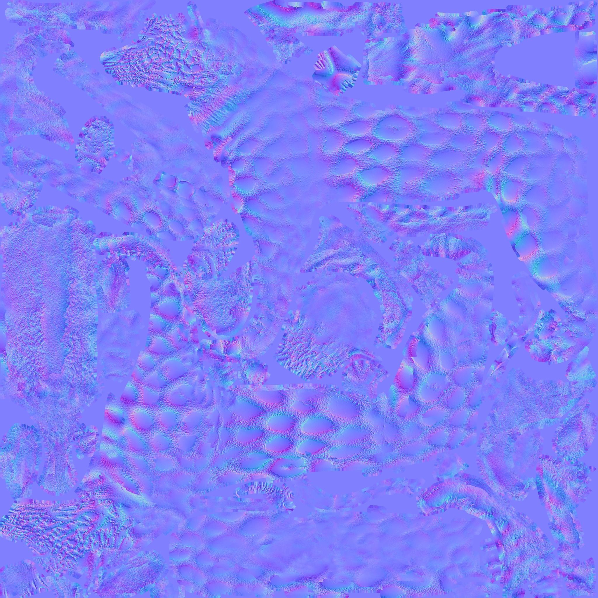 Leopard Free 3D model 9
