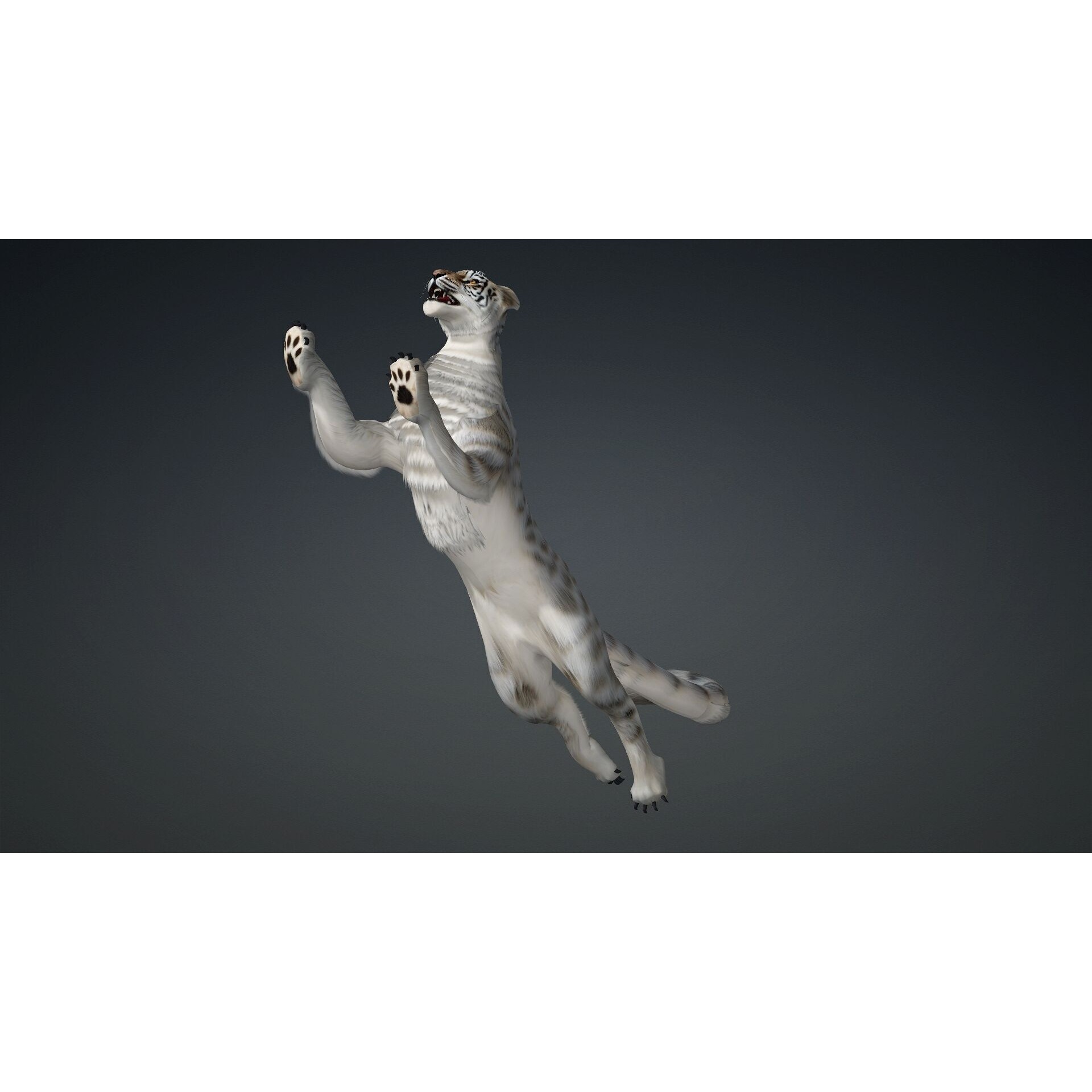Leopard Hybrid A1 Free 3D model 5