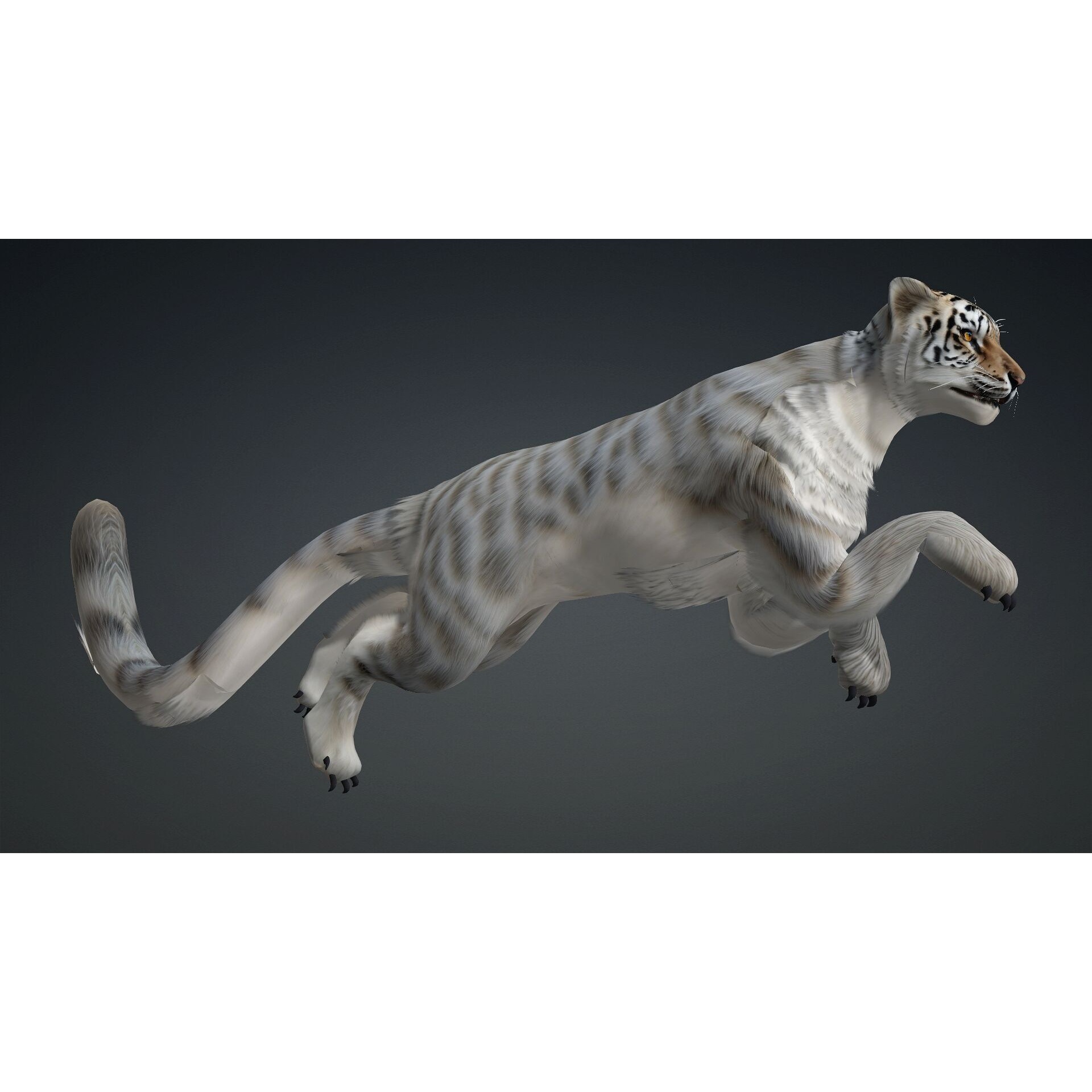 Leopard Hybrid A1 Free 3D model 8