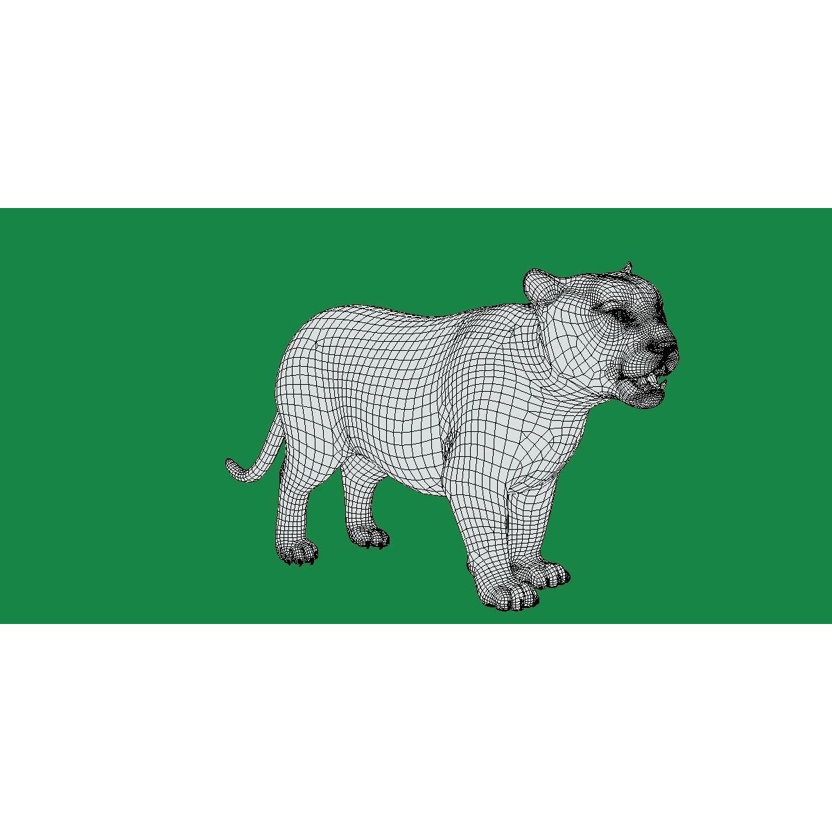 Liger Hybrid Feline 3D model 6
