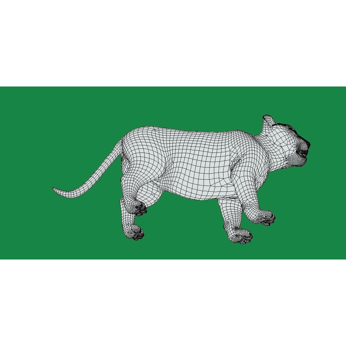 Liger Hybrid Feline 3D model 7