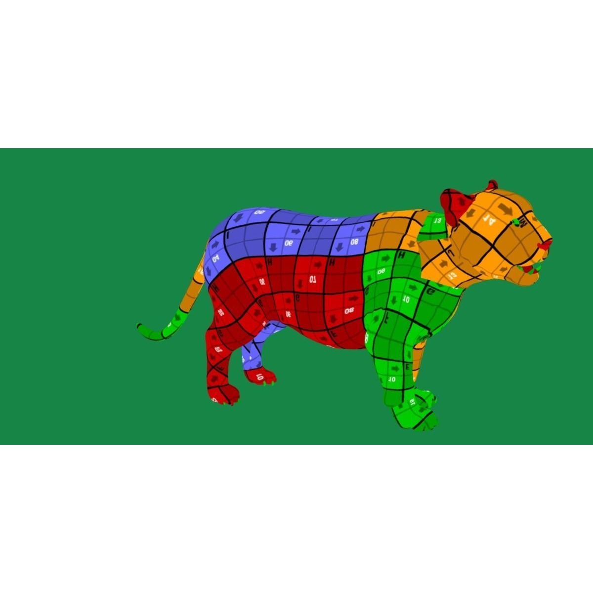 Liger Hybrid Feline 3D model 9