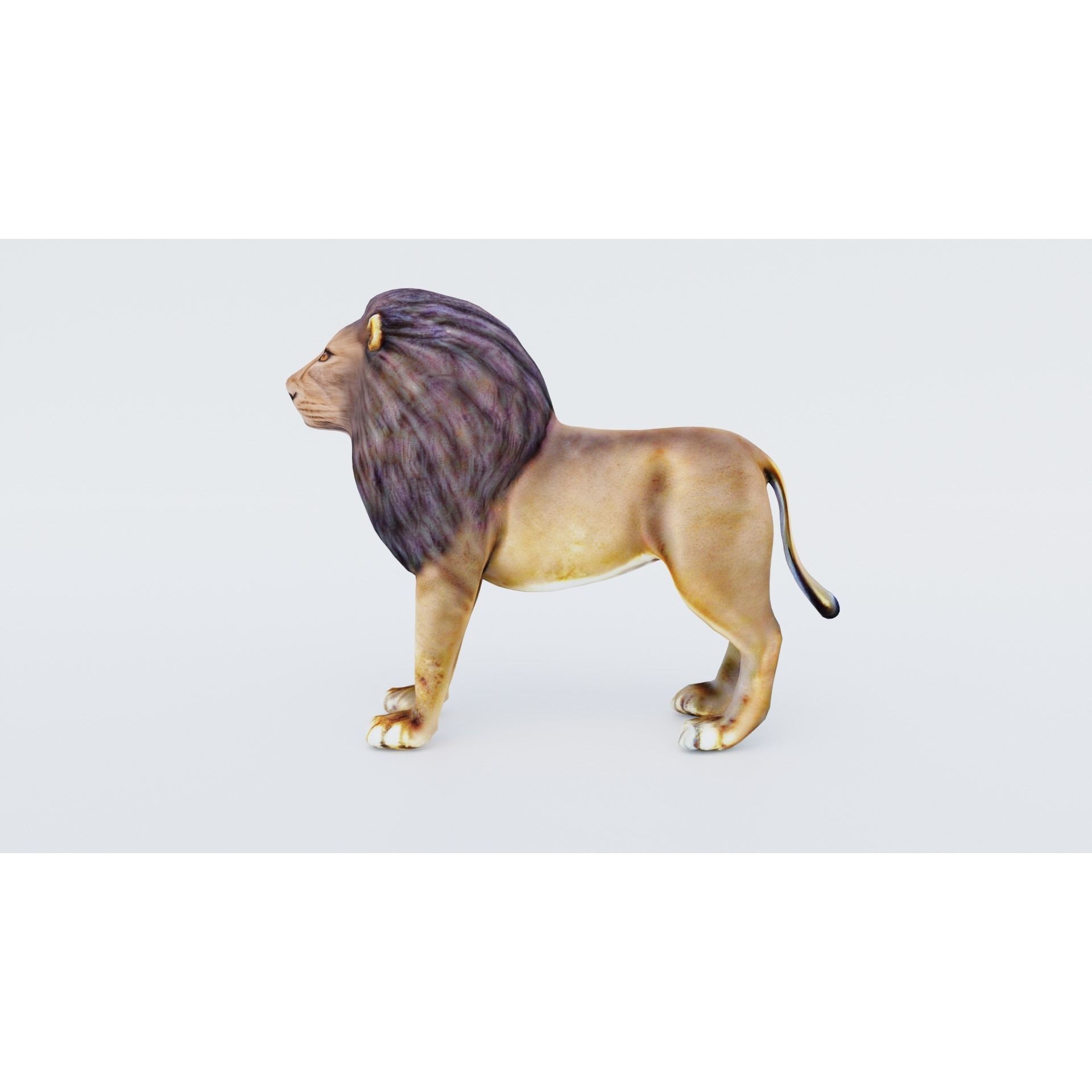 Lion Animal Free 3D model 2