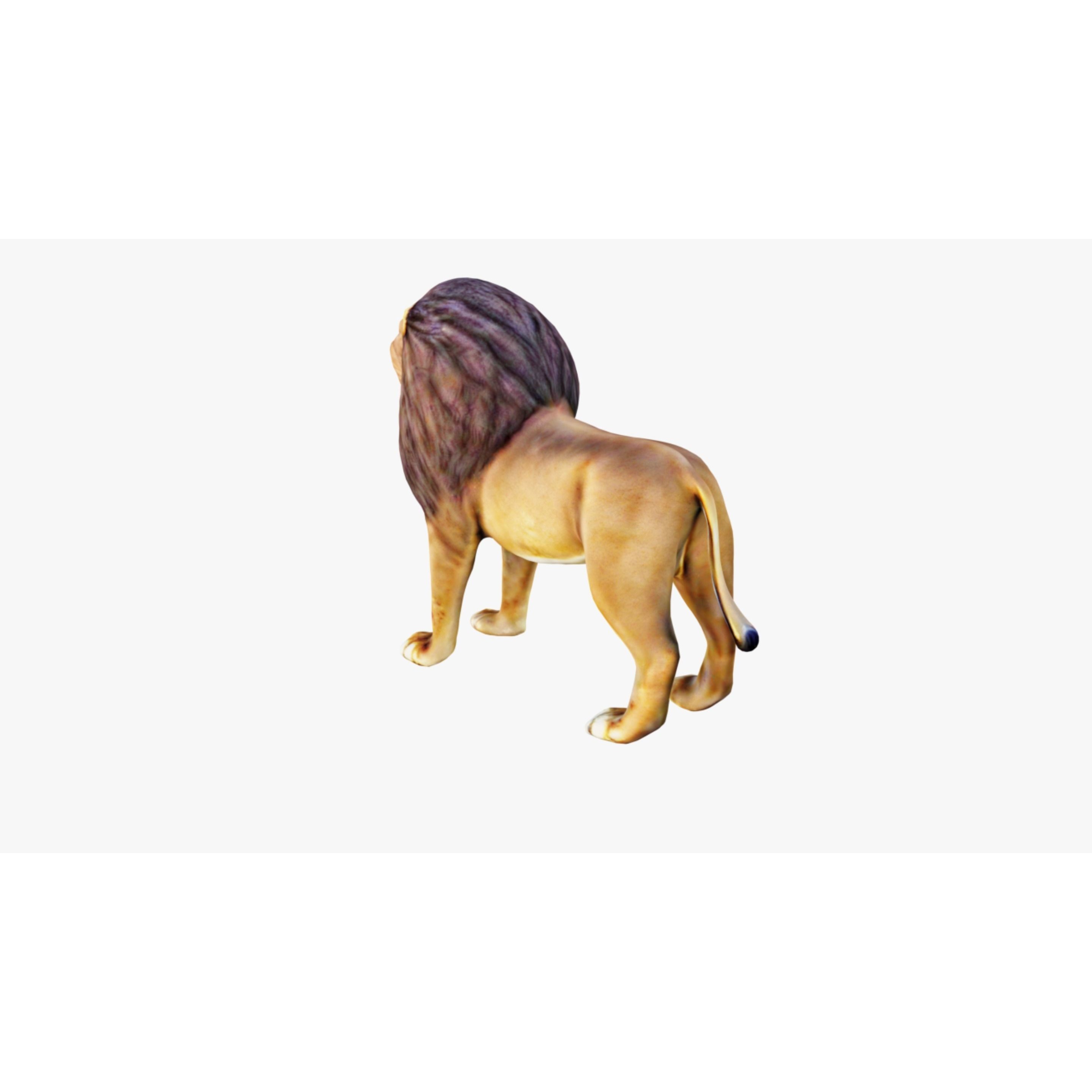 Lion Animal Free 3D model 4