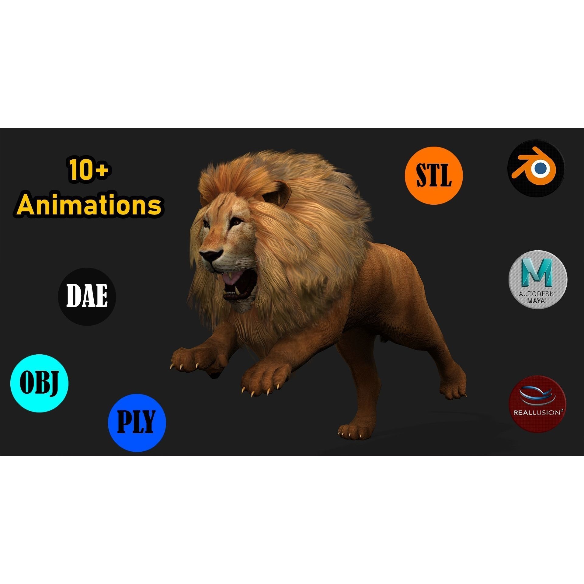 Lion with Animation 8 Low-poly 3D model 2