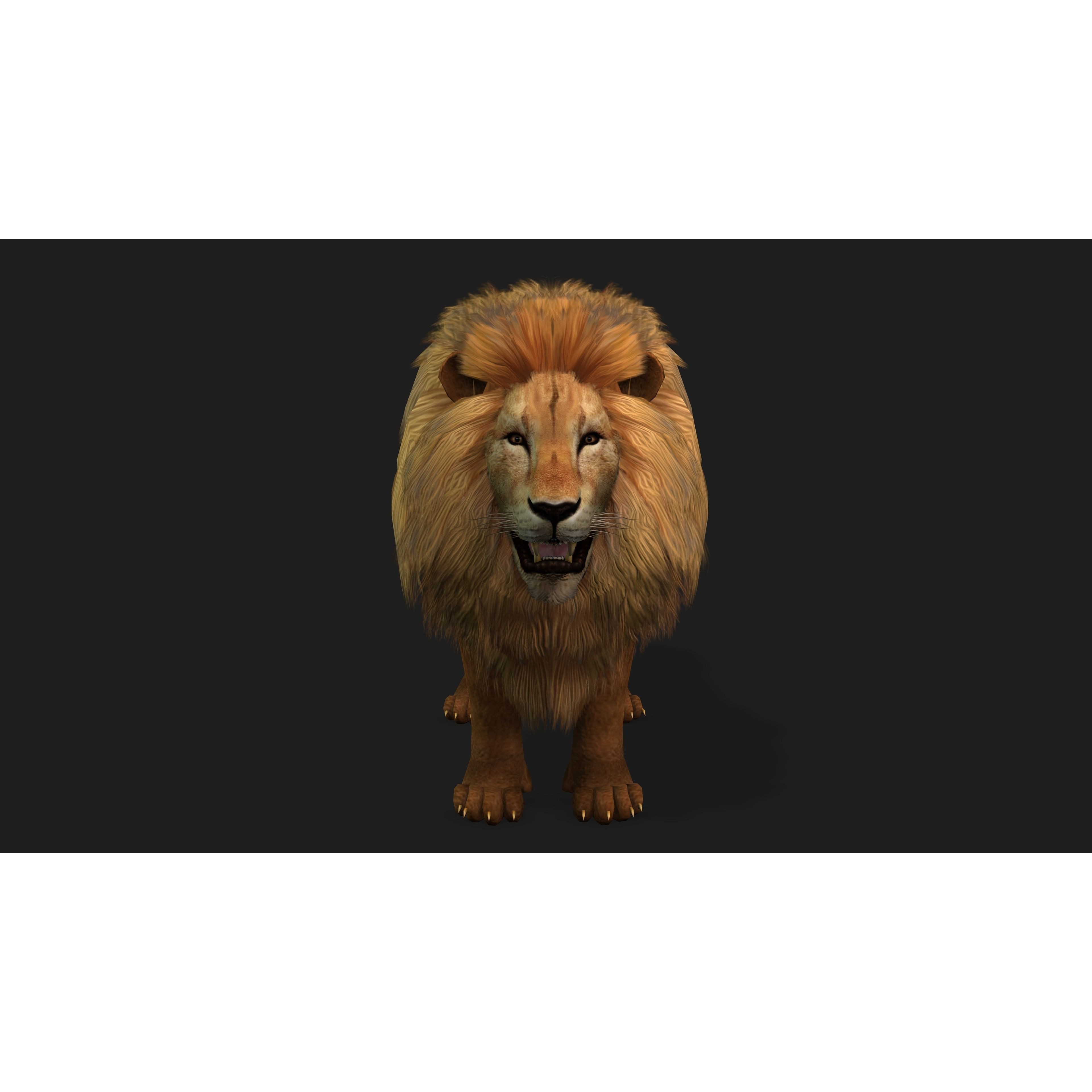 Lion with Animation 8 Low-poly 3D model 3