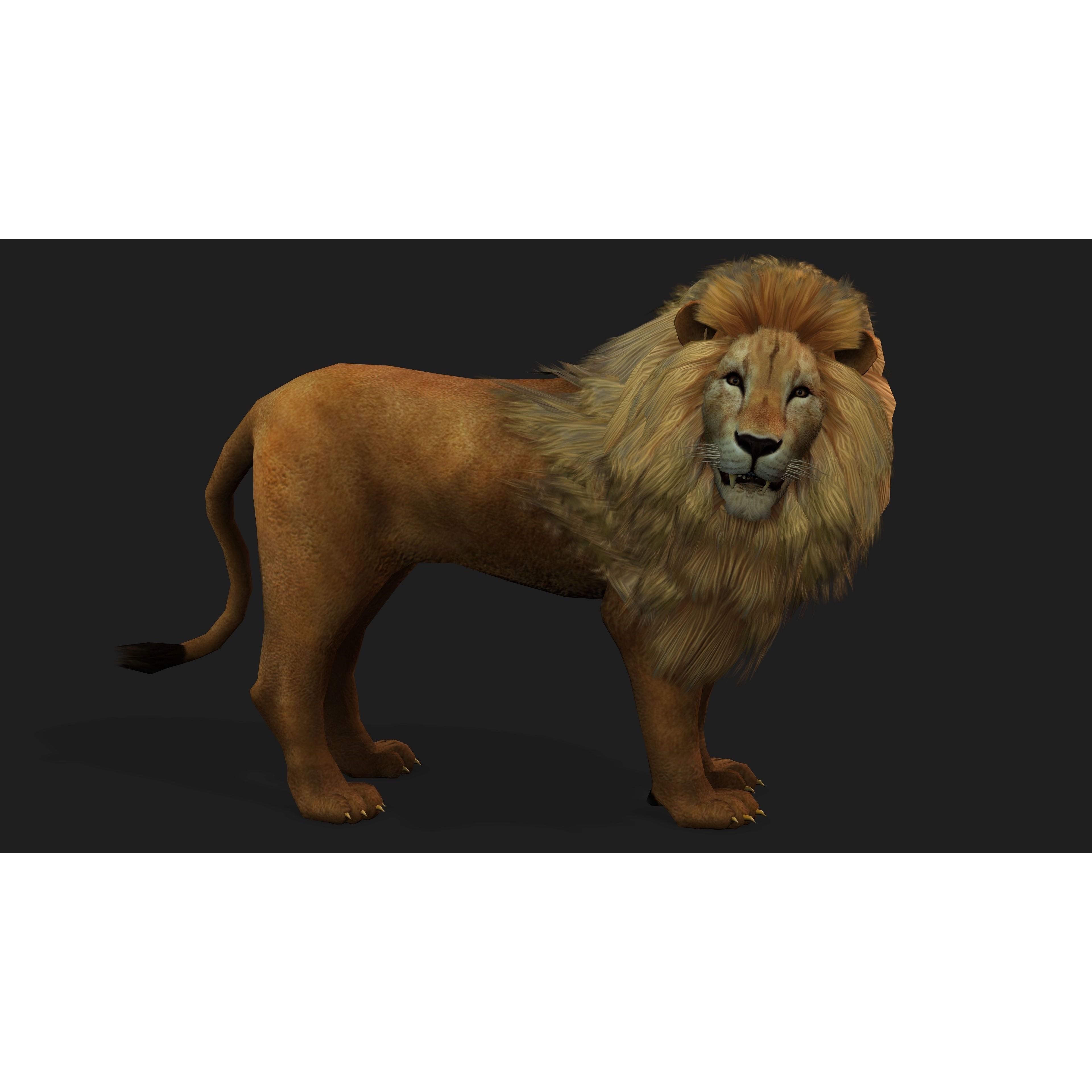 Lion with Animation 8 Low-poly 3D model 4