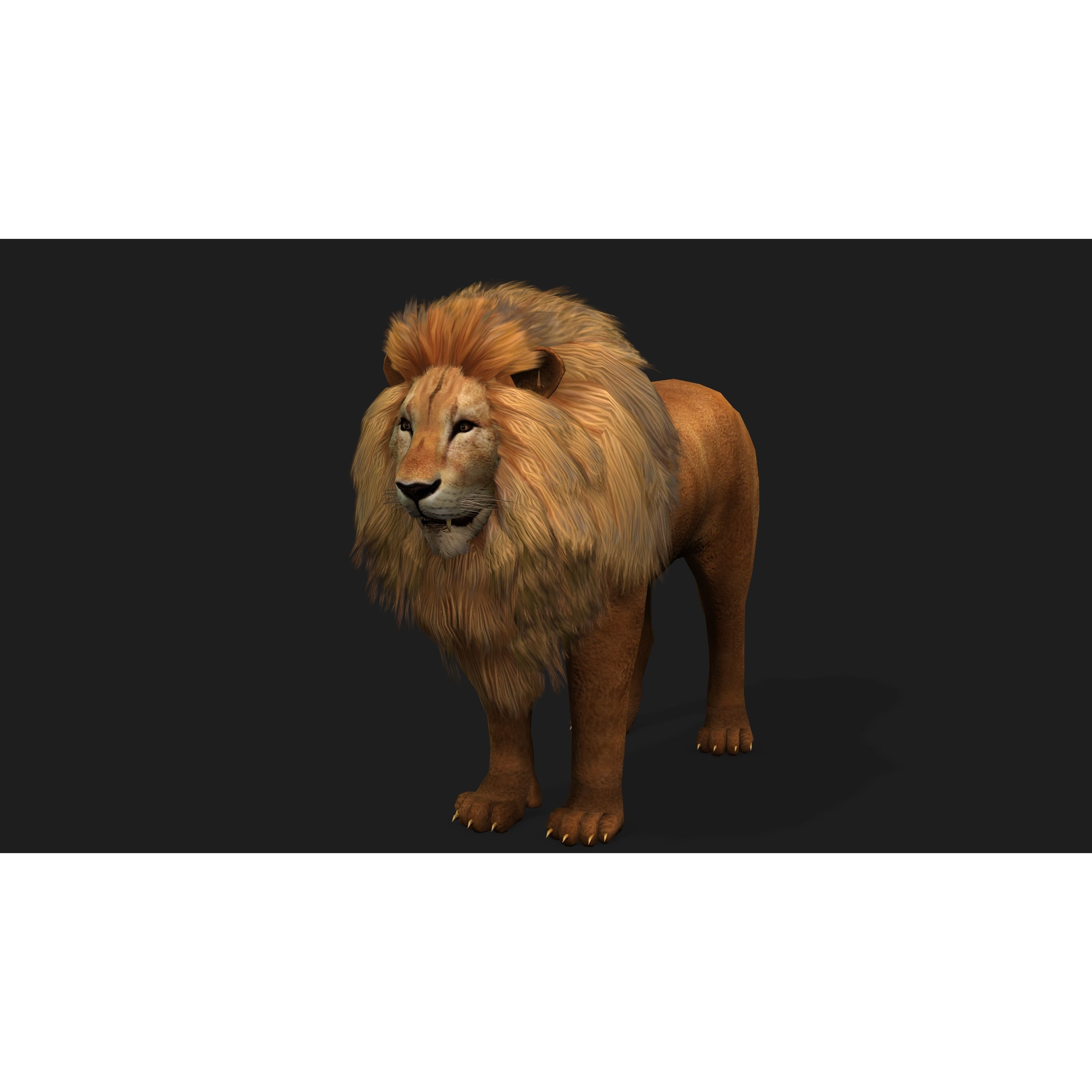 Lion with Animation 8 Low-poly 3D model 5