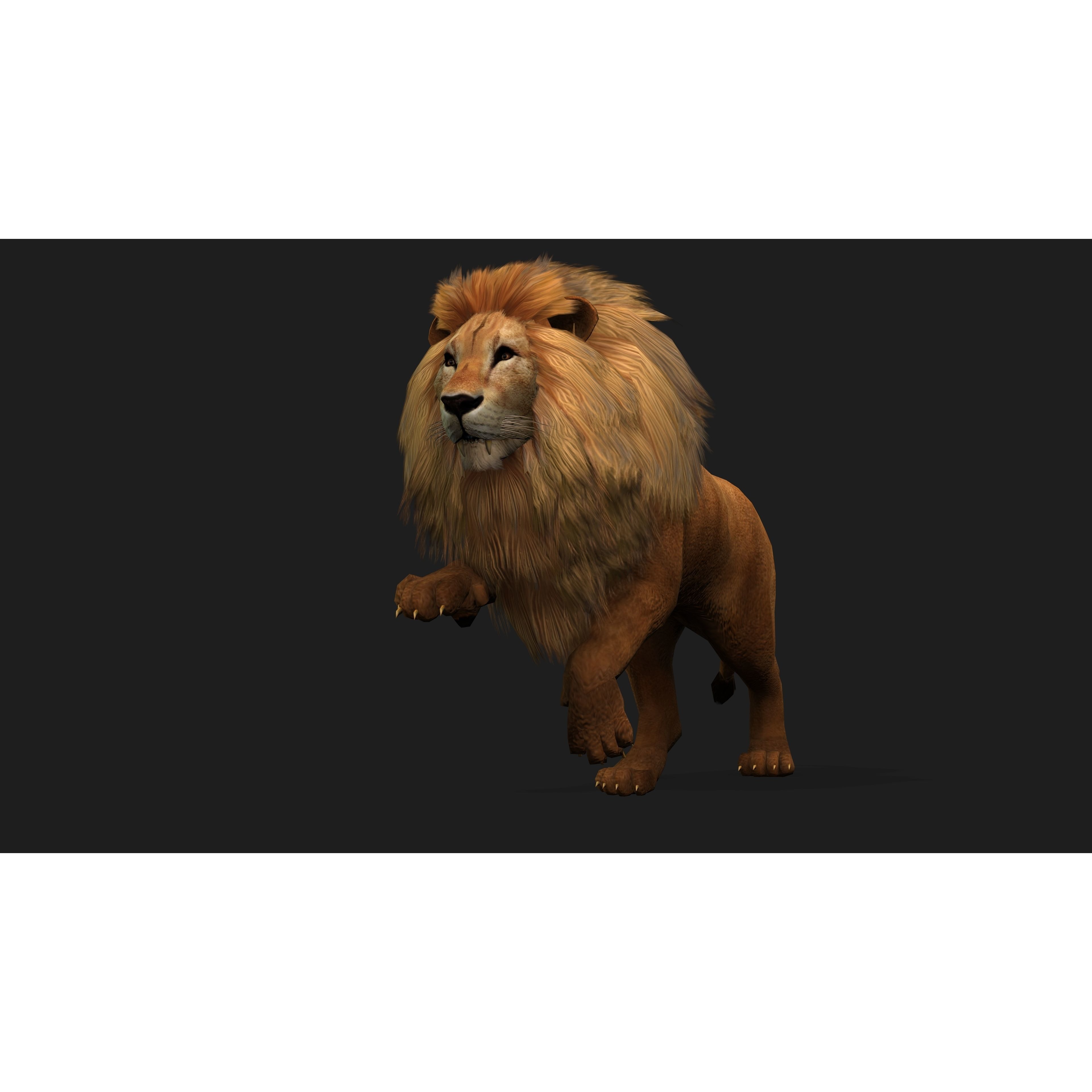 Lion with Animation 8 Low-poly 3D model 6