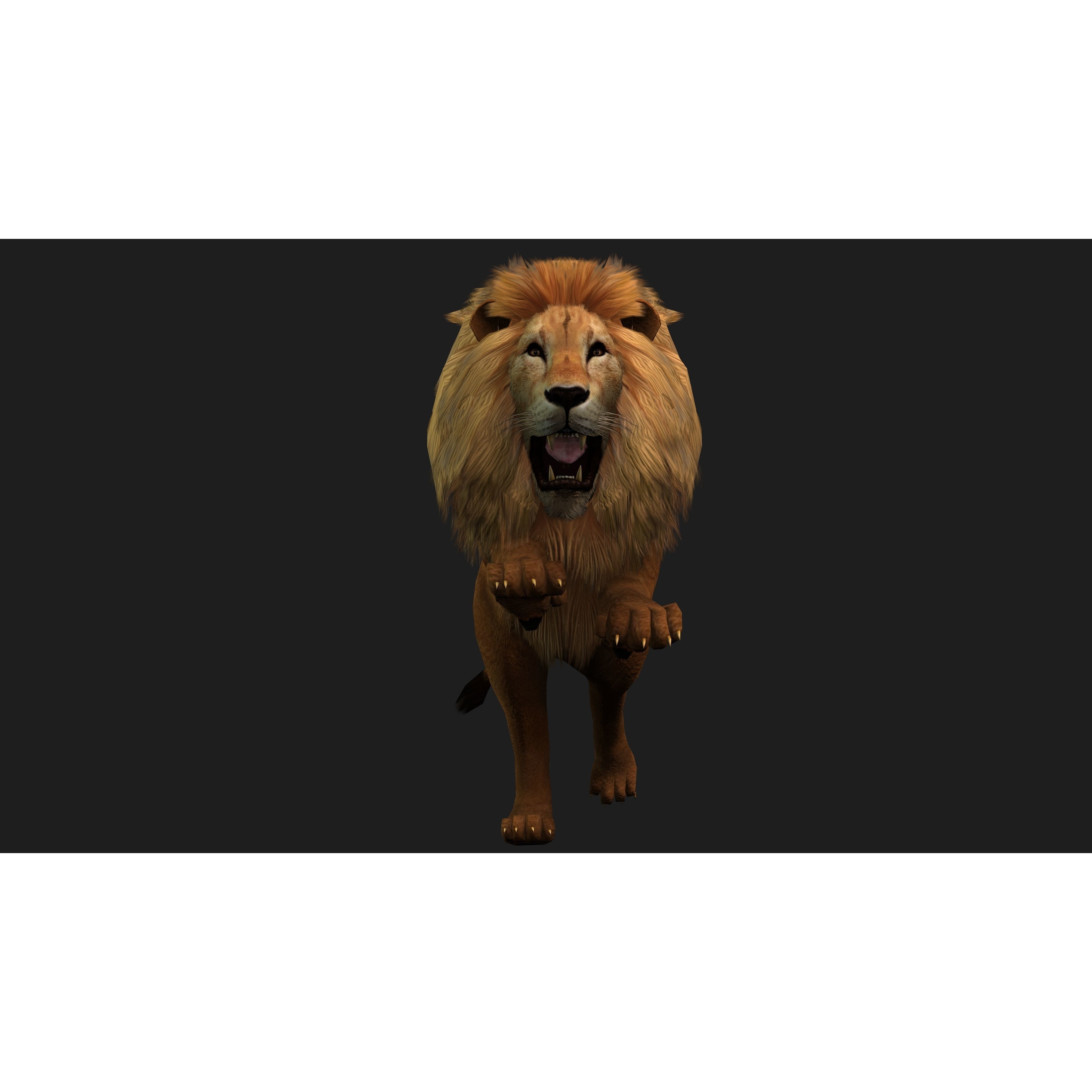 Lion with Animation 8 Low-poly 3D model 7