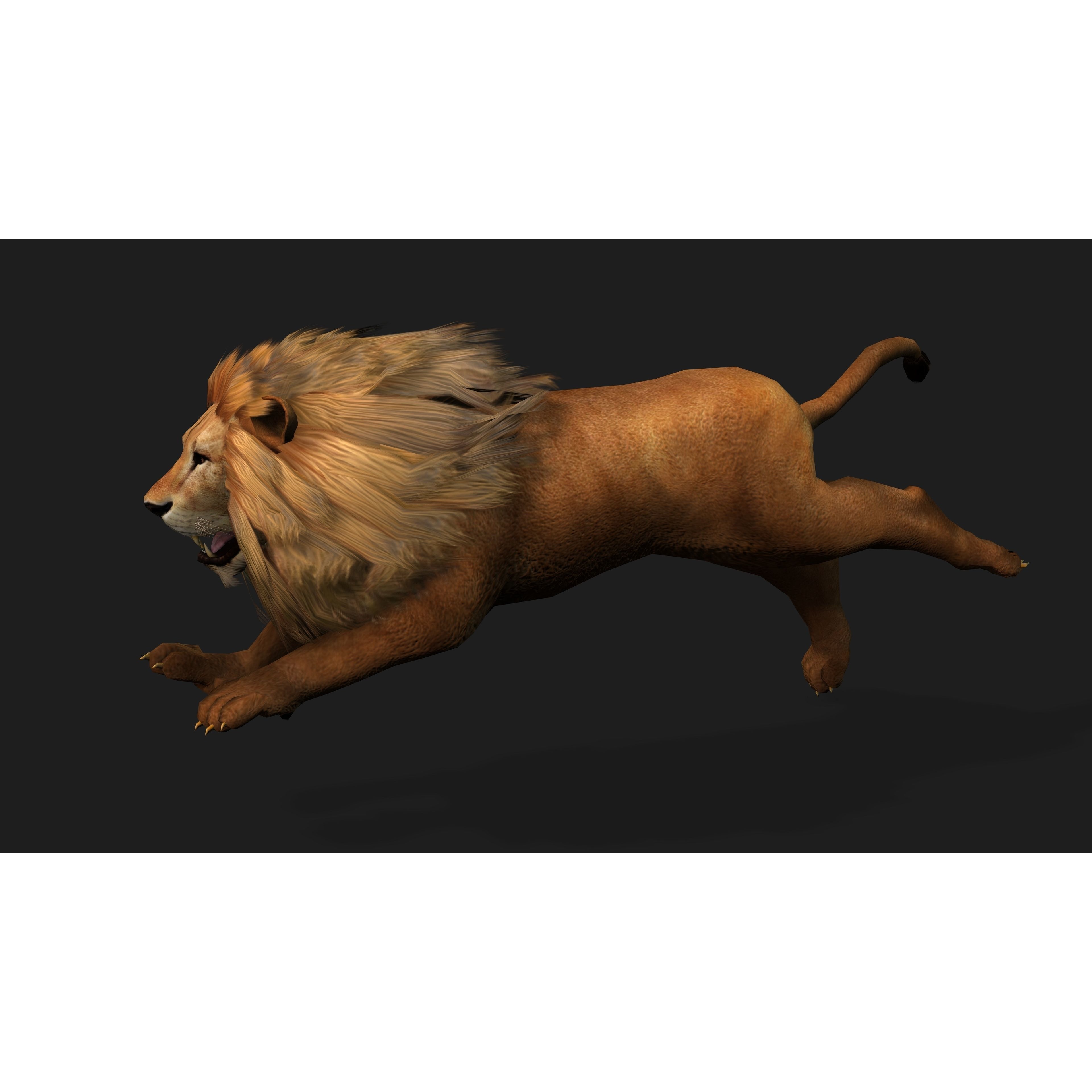 Lion with Animation 8 Low-poly 3D model 8