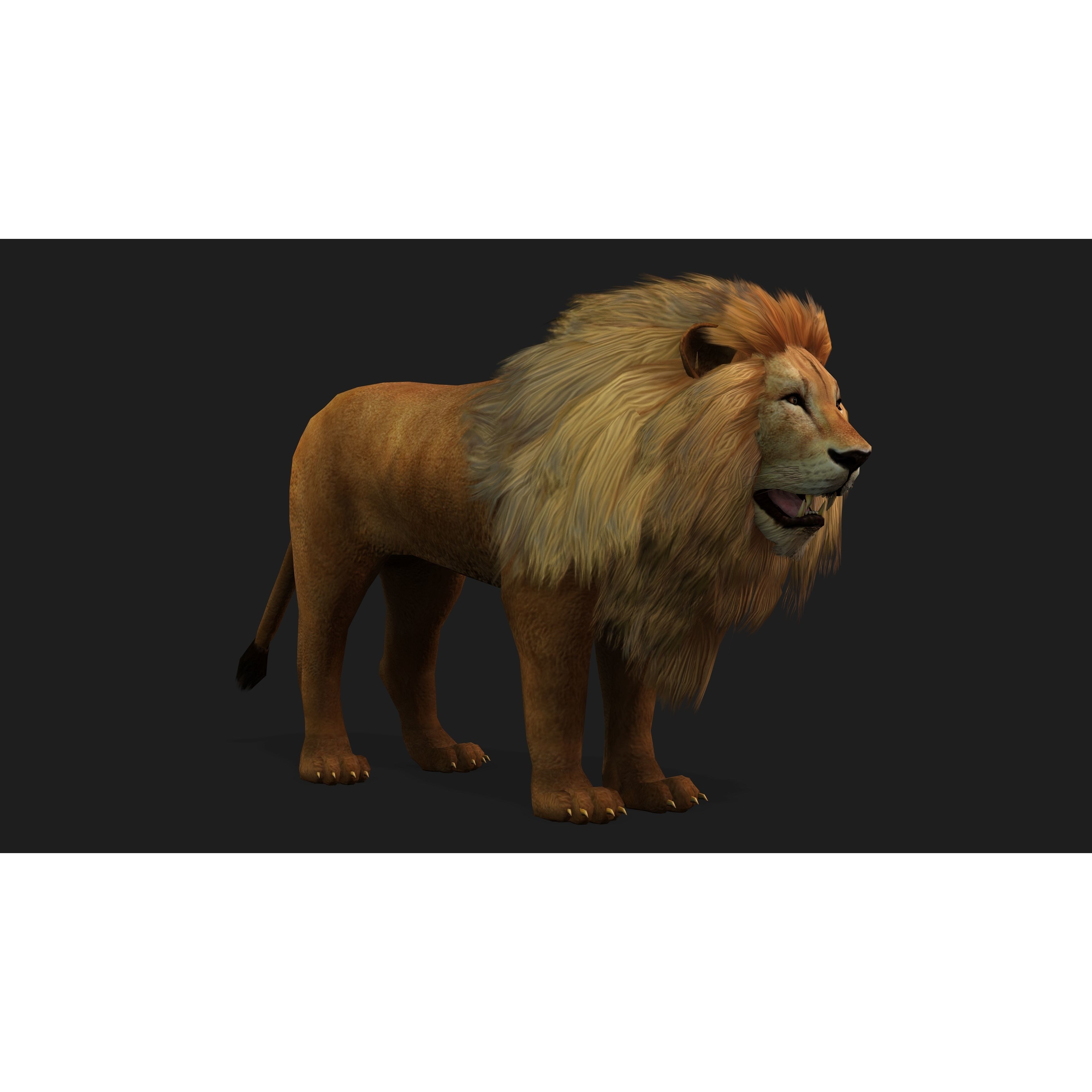 Lion with Animation 8 Low-poly 3D model 9