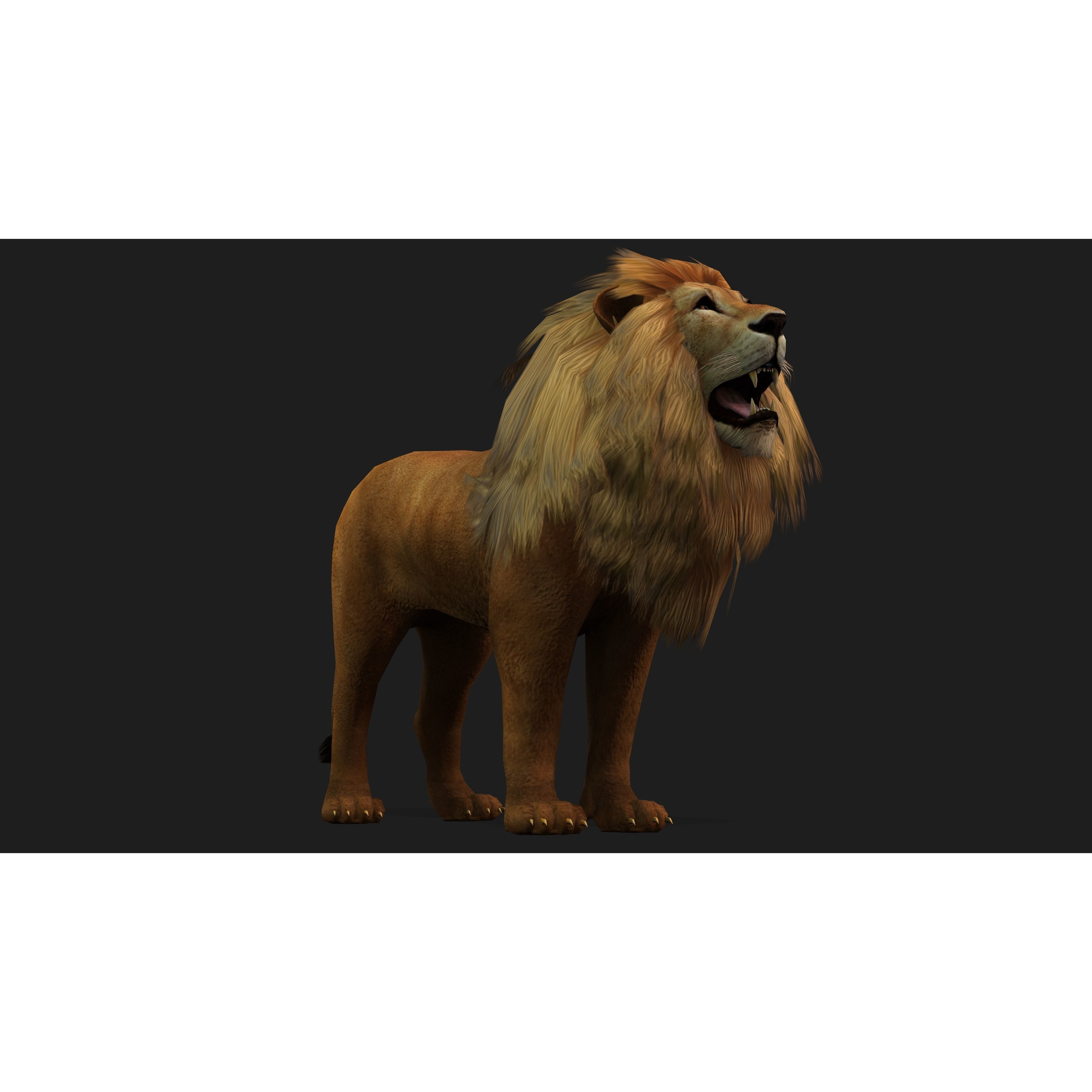 Lion with Animation 8 Low-poly 3D model 10