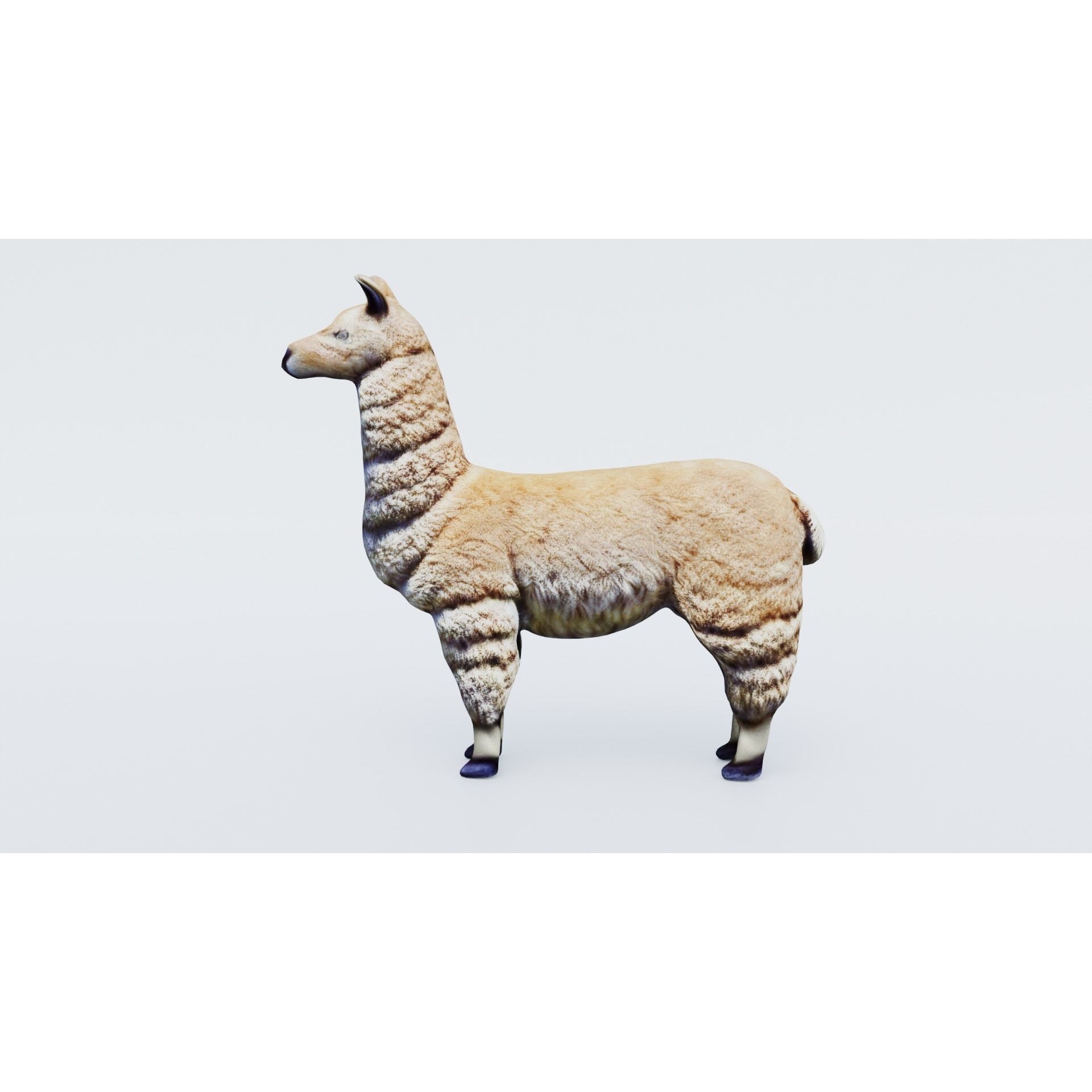 Llama Free 3D model 2