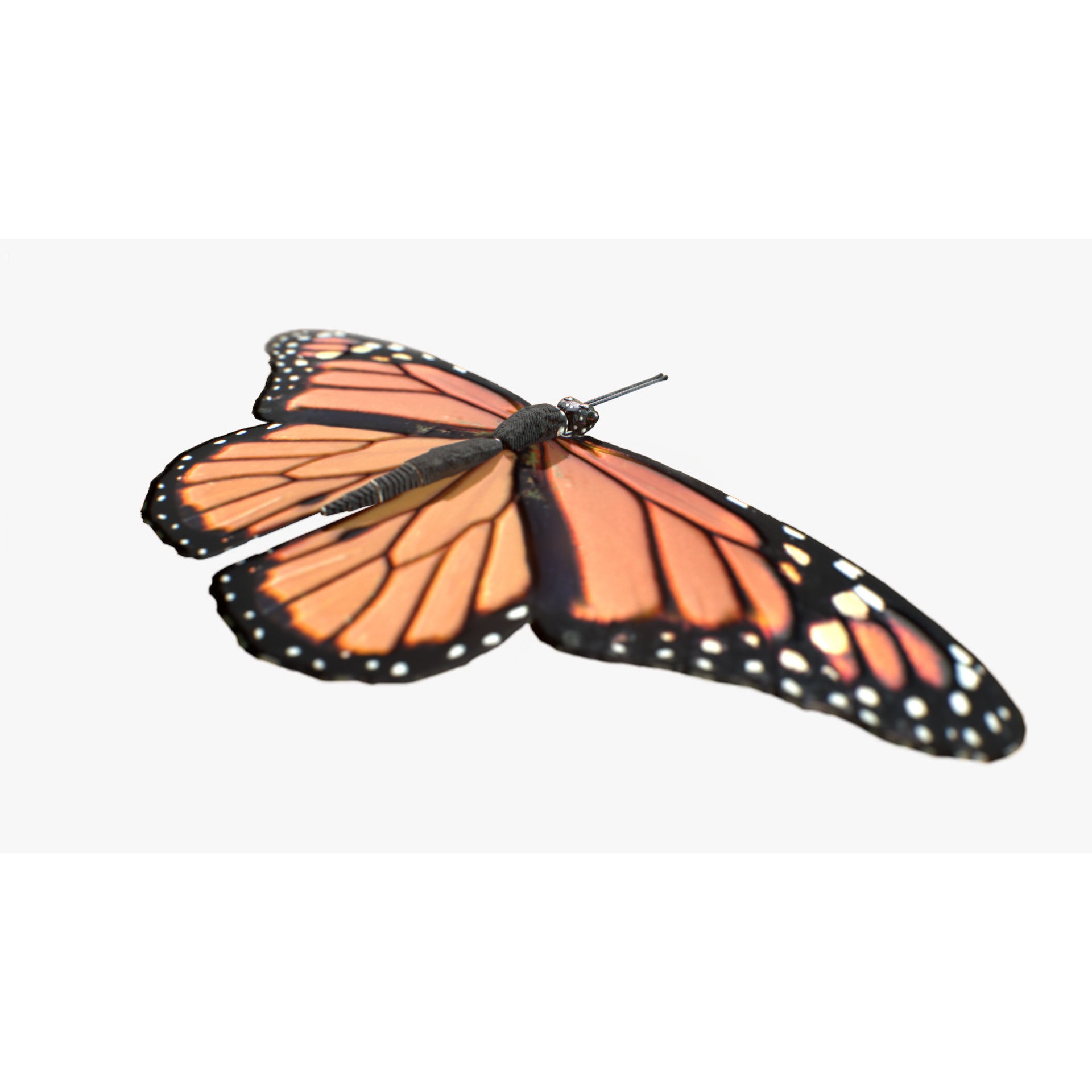 Low-Poly Butterfly - Fully Rigged For Blender Free low-poly 3D model 3