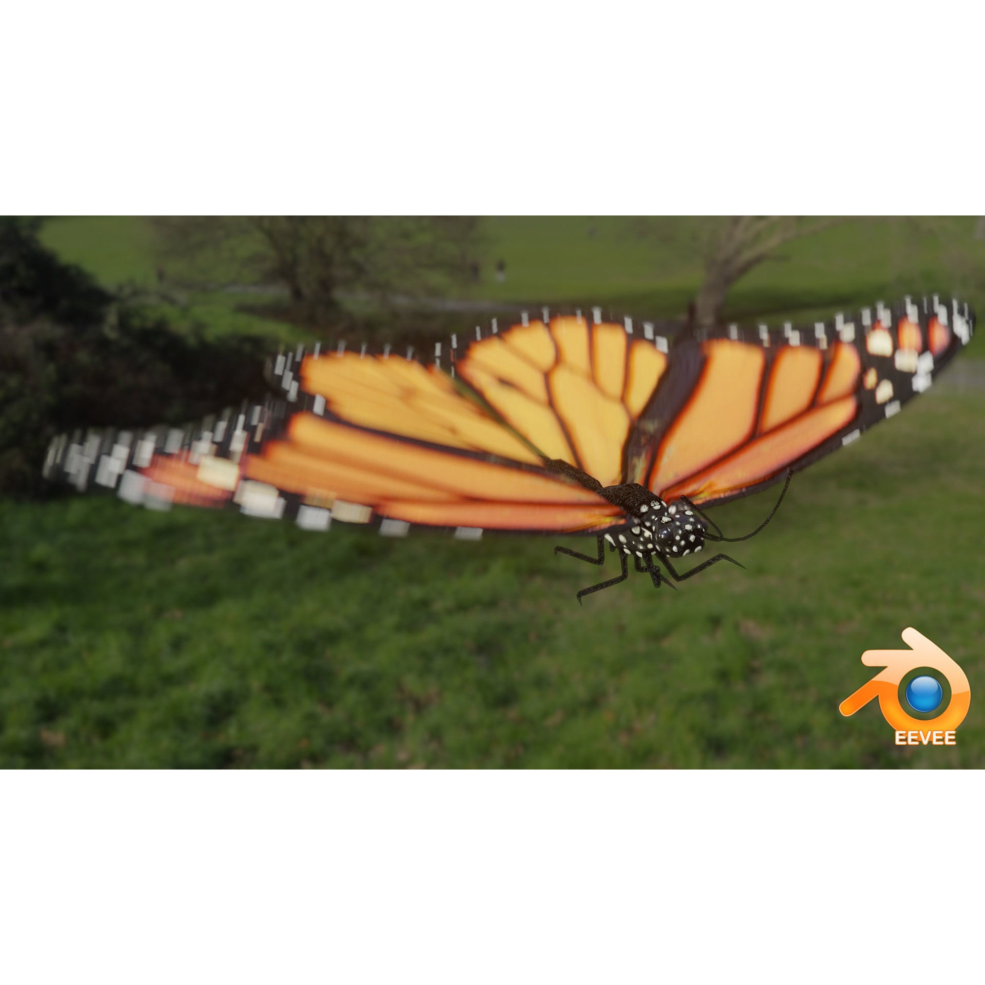 Low-Poly Butterfly - Fully Rigged For Blender Free low-poly 3D model 6
