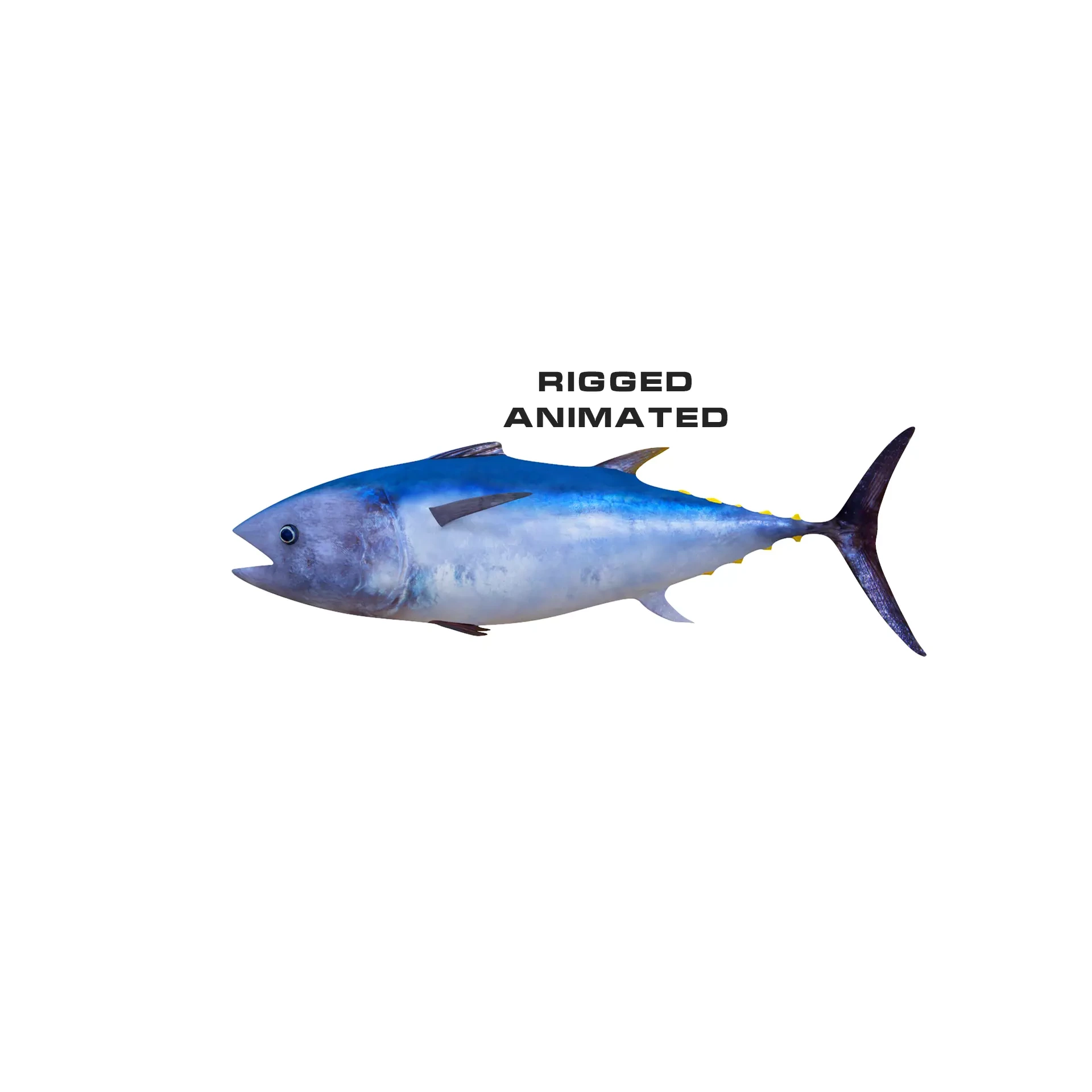 Low-Poly Tuna Animated Free low-poly 3D model