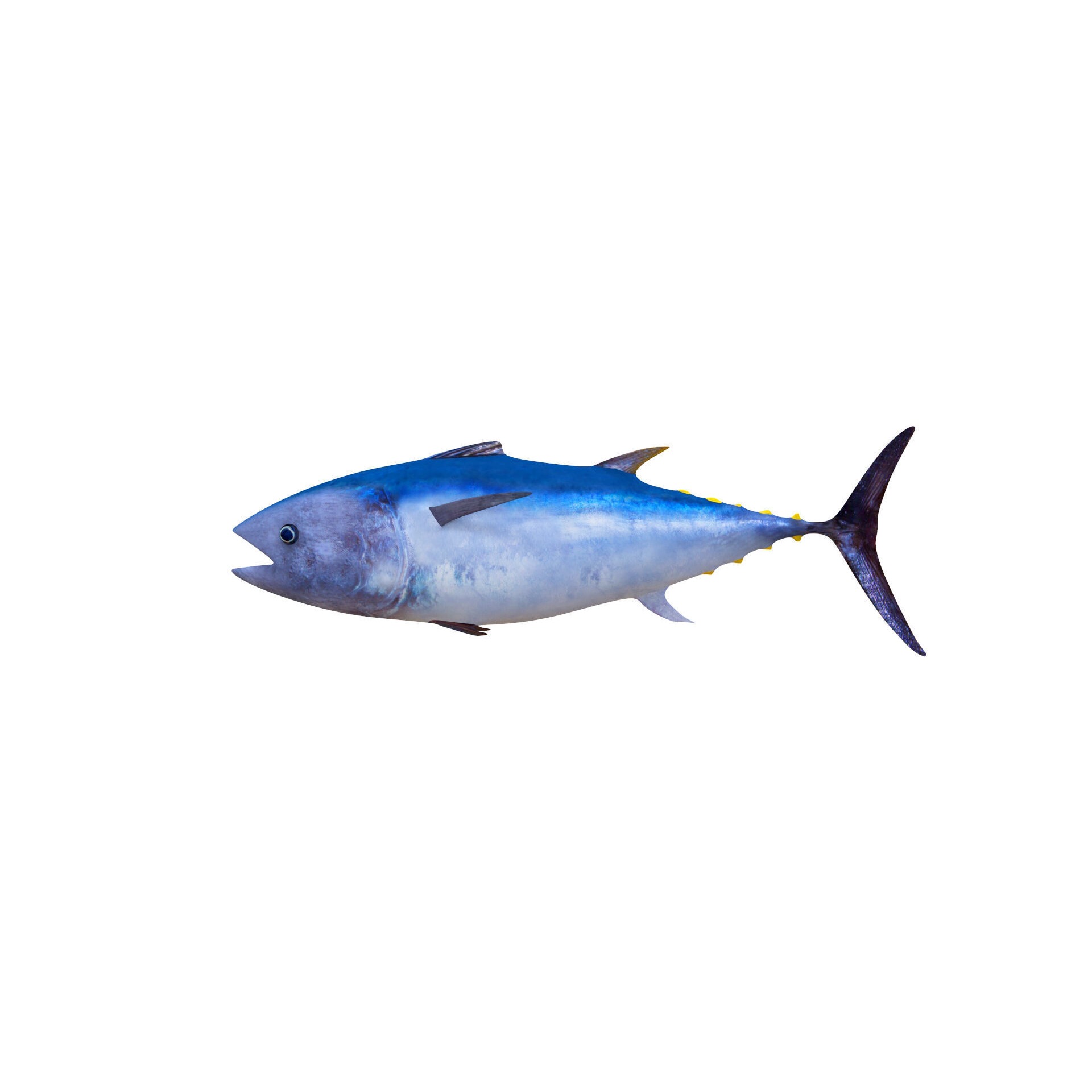 Low-Poly Tuna Animated Free low-poly 3D model 2