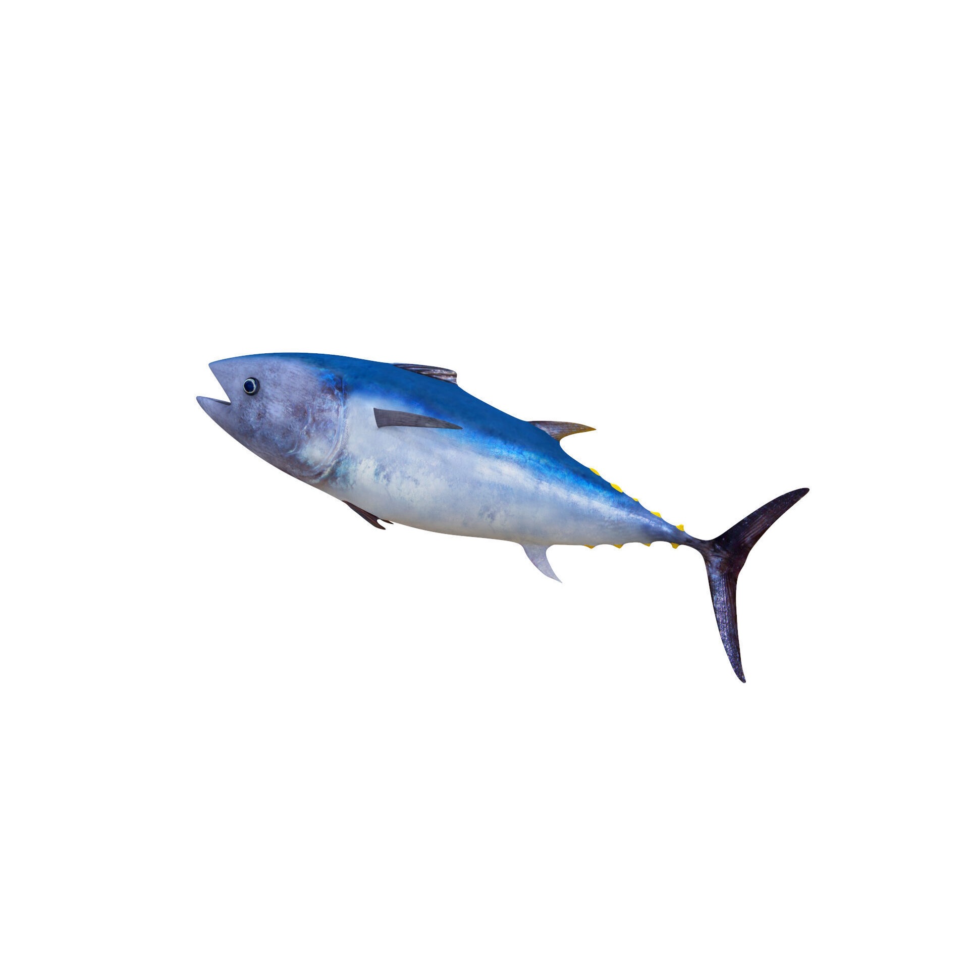 Low-Poly Tuna Animated Free low-poly 3D model 3