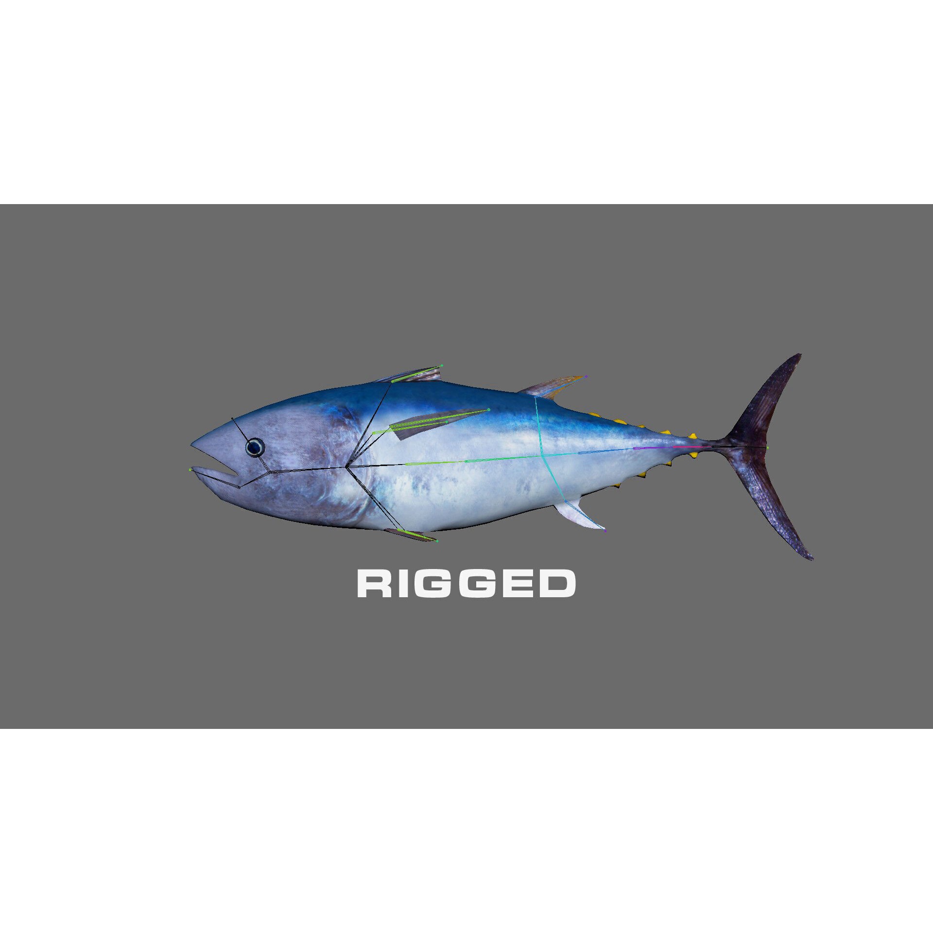 Low-Poly Tuna Animated Free low-poly 3D model 4