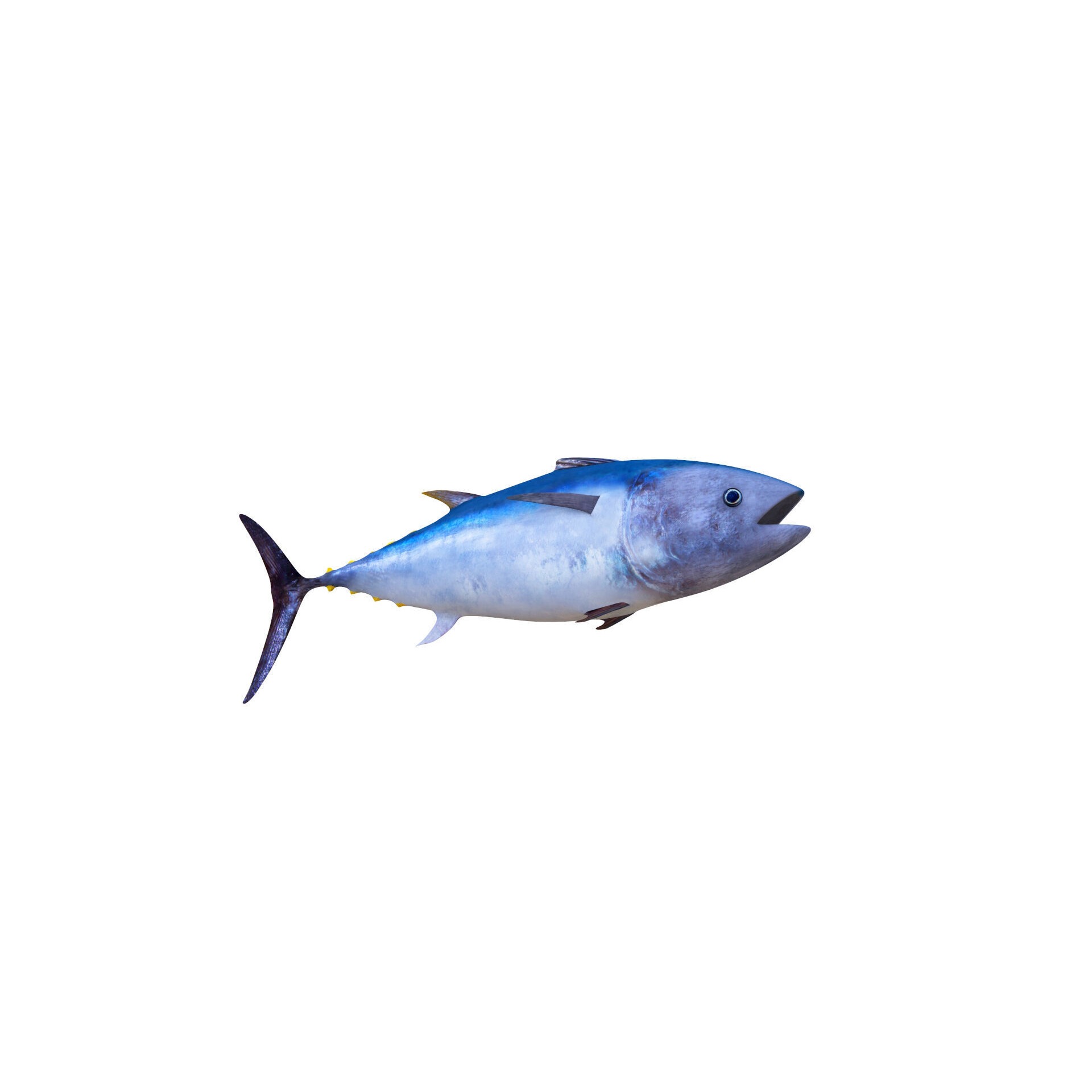 Low-Poly Tuna Animated Free low-poly 3D model 6