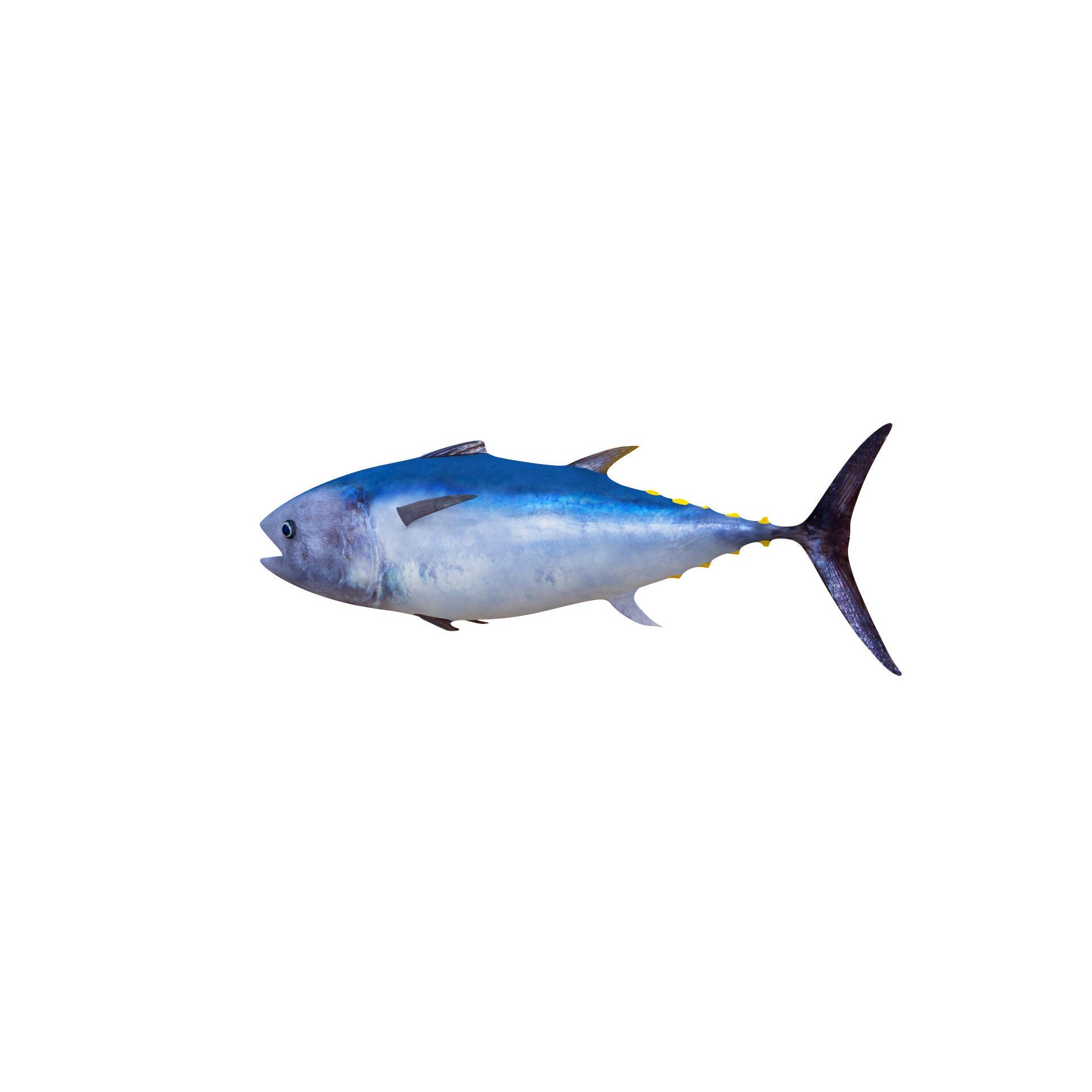 Low-Poly Tuna Animated Free low-poly 3D model 8