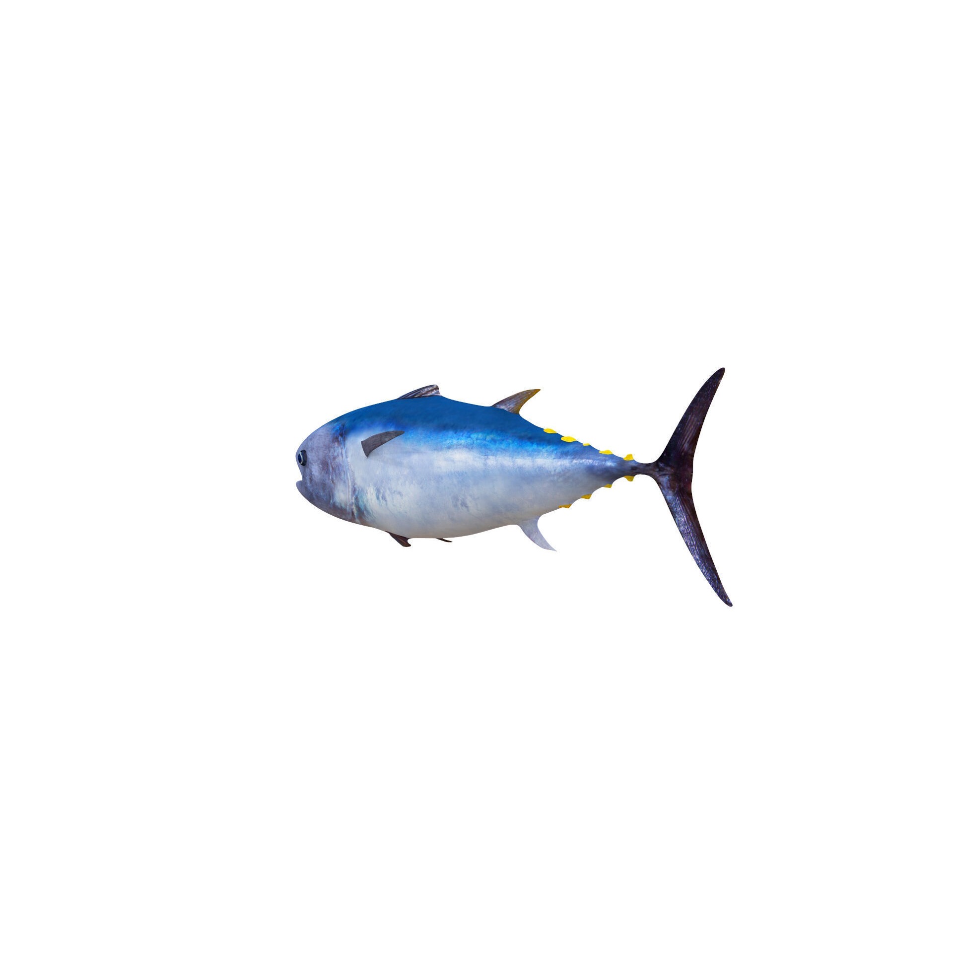 Low-Poly Tuna Animated Free low-poly 3D model 9