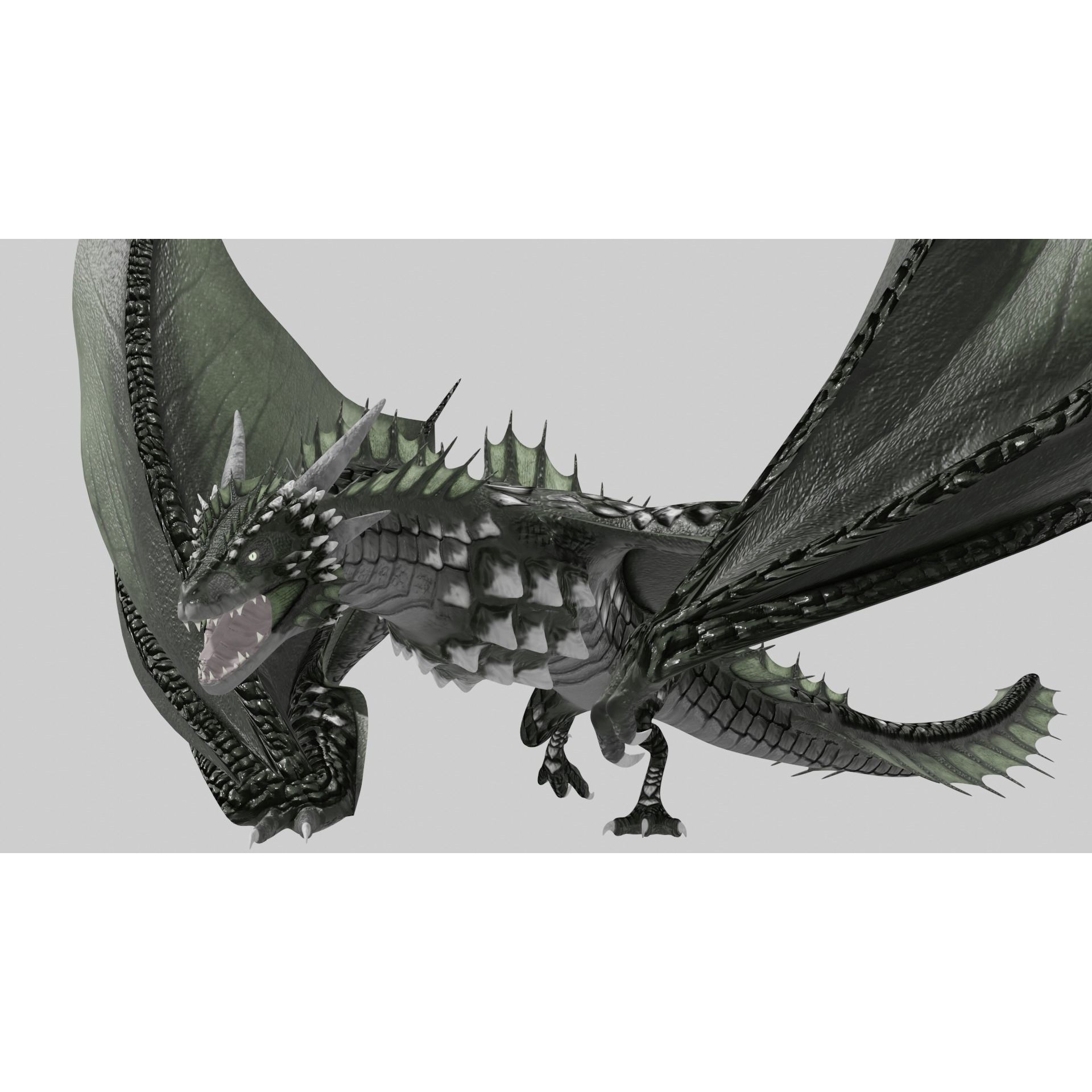 Low Poly Wyvern Dragon Animated Model Low-poly 3D model 5