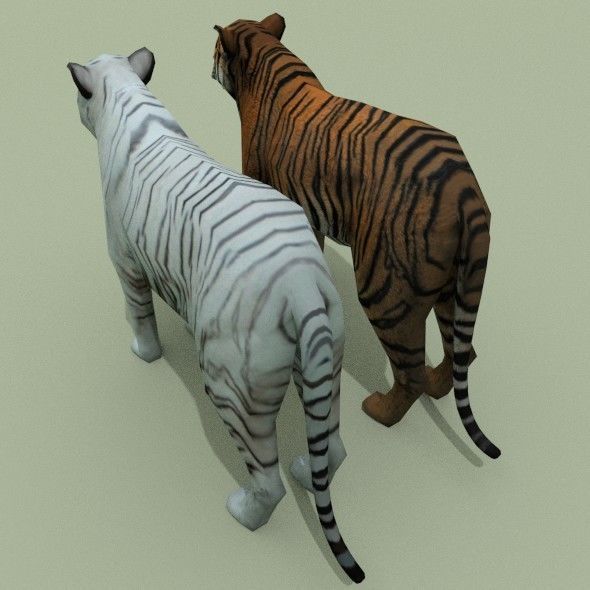 LowPoly Tigers two Free low-poly 3D model 3
