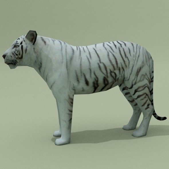 LowPoly Tigers two Free low-poly 3D model 6
