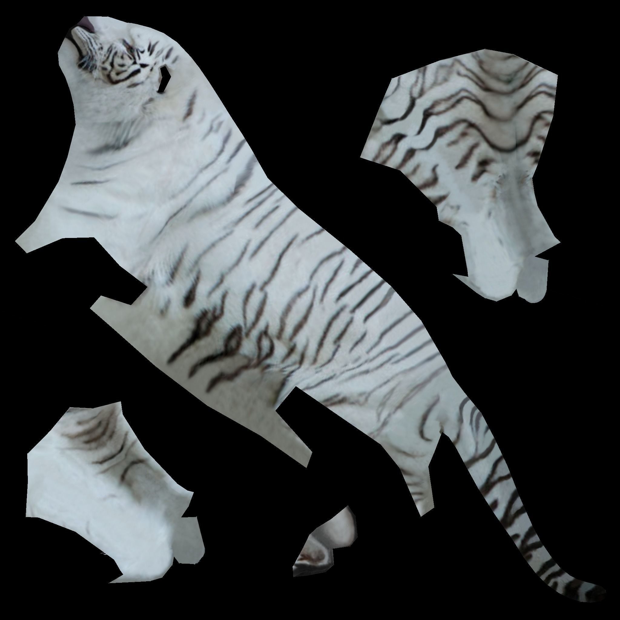 LowPoly Tigers two Free low-poly 3D model 8