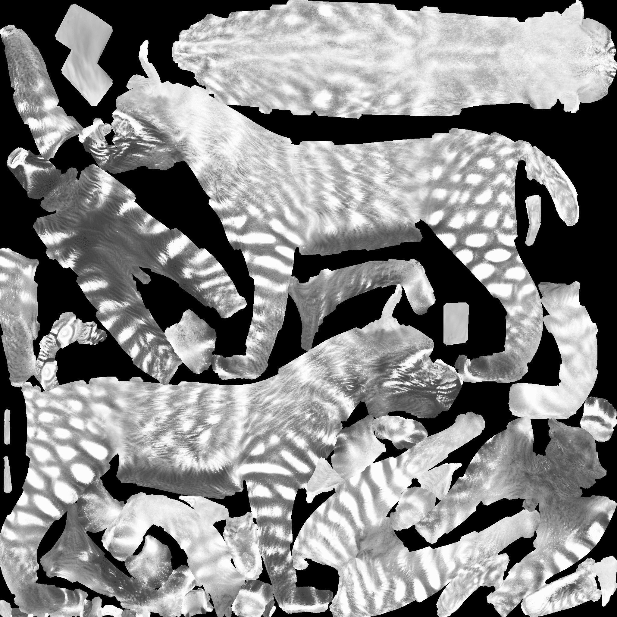 Lynx Animal Free 3D model 10