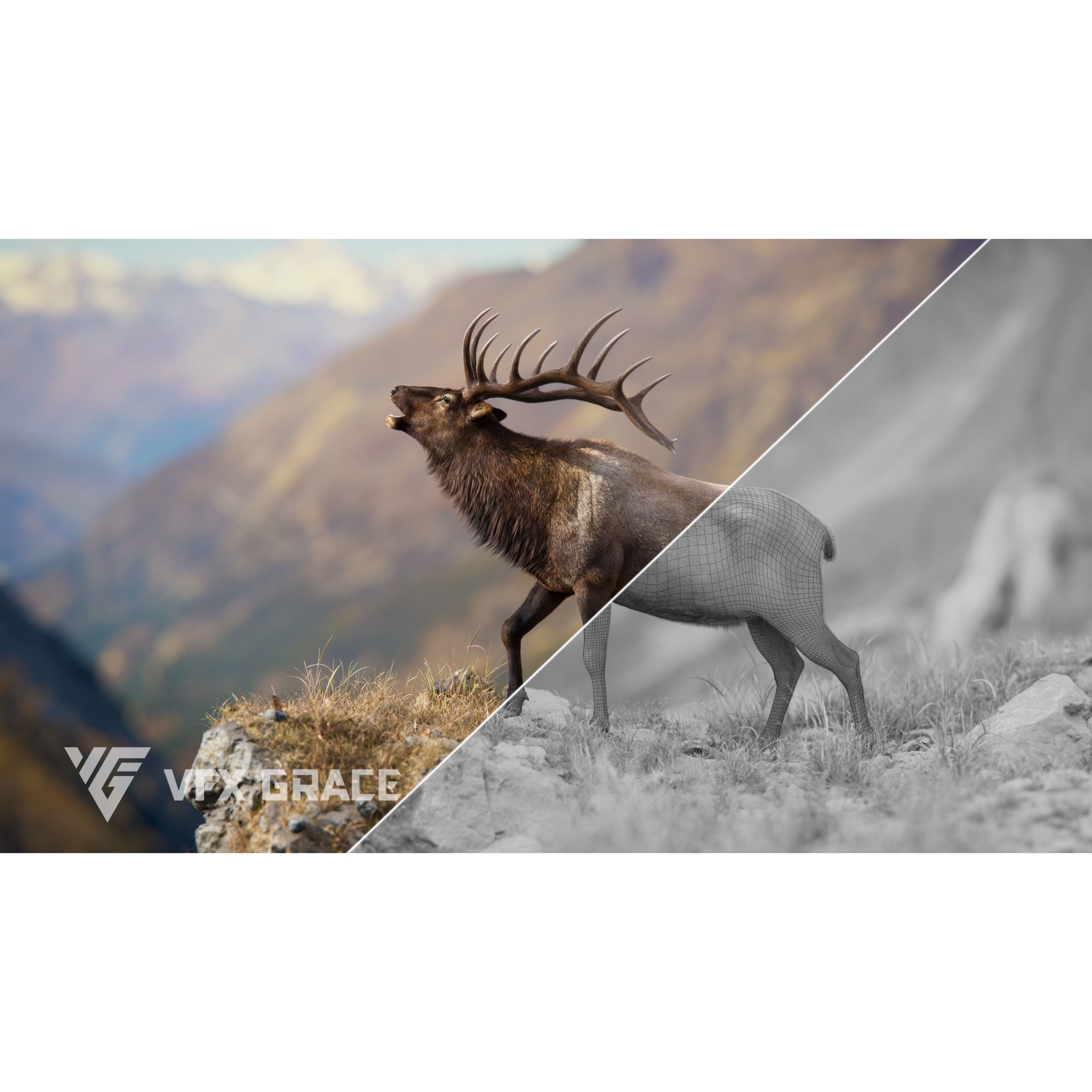 Male Elk Animated VFX Grace 3D model 3