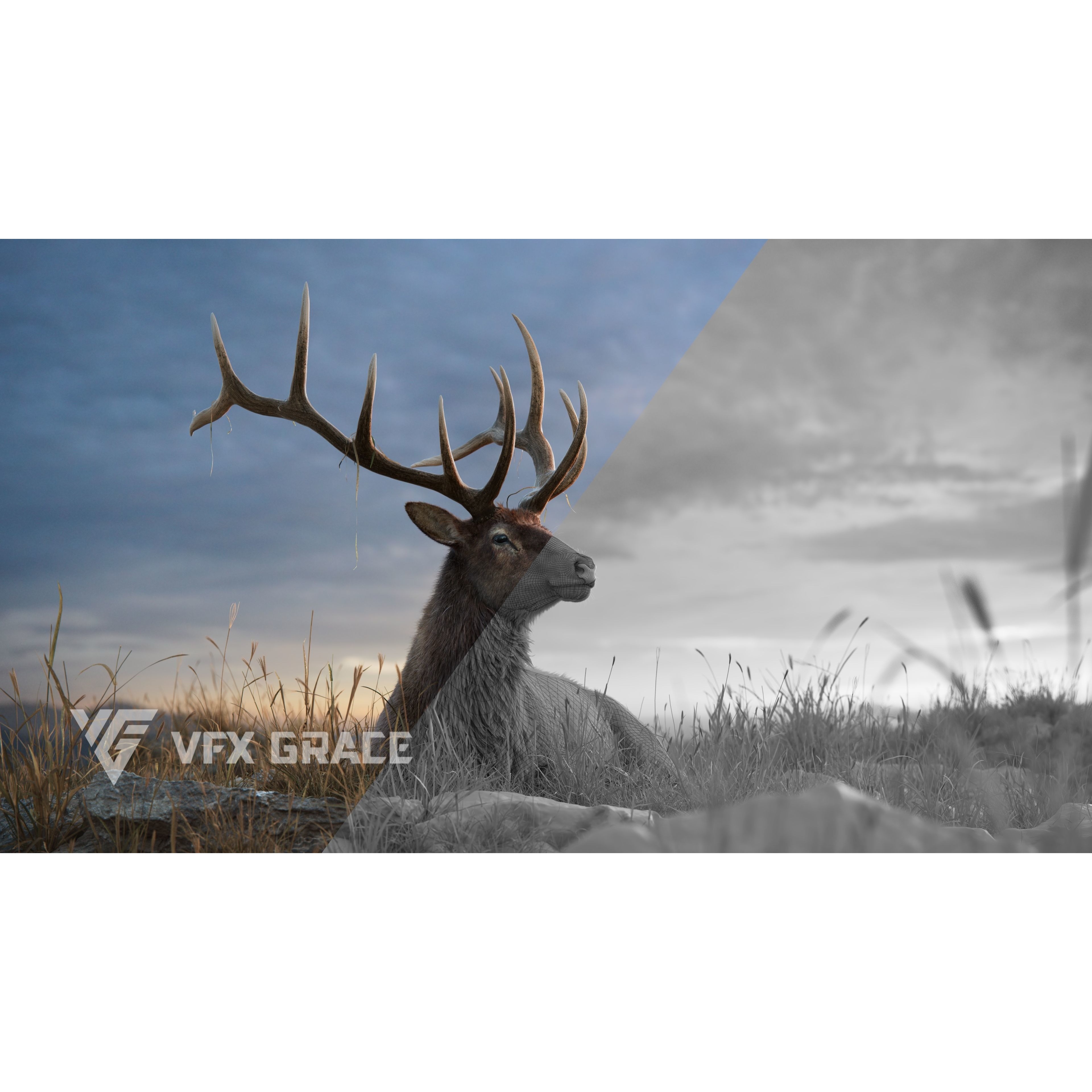 Male Elk Animated VFX Grace 3D model 5