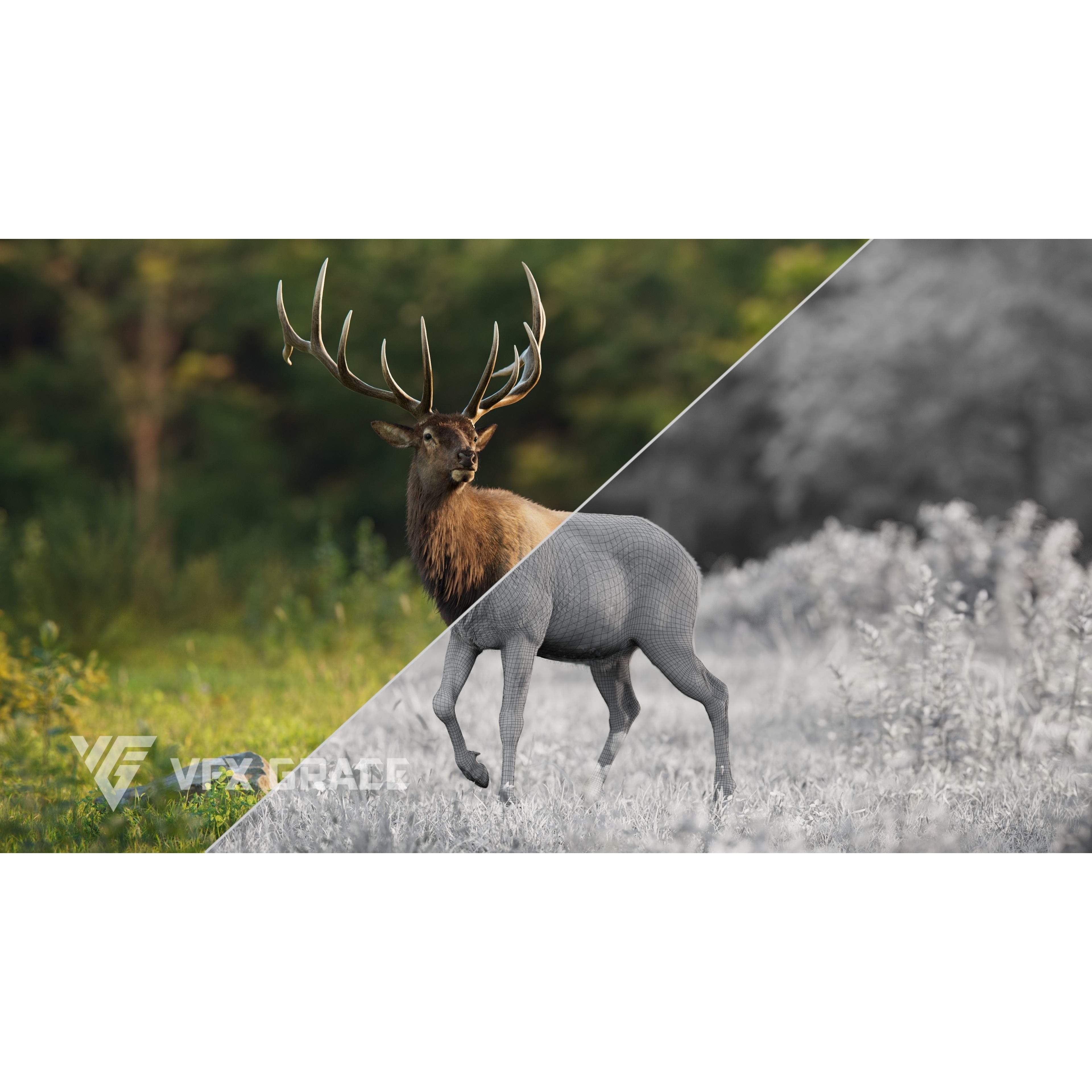 Male Elk Animated VFX Grace 3D model 7