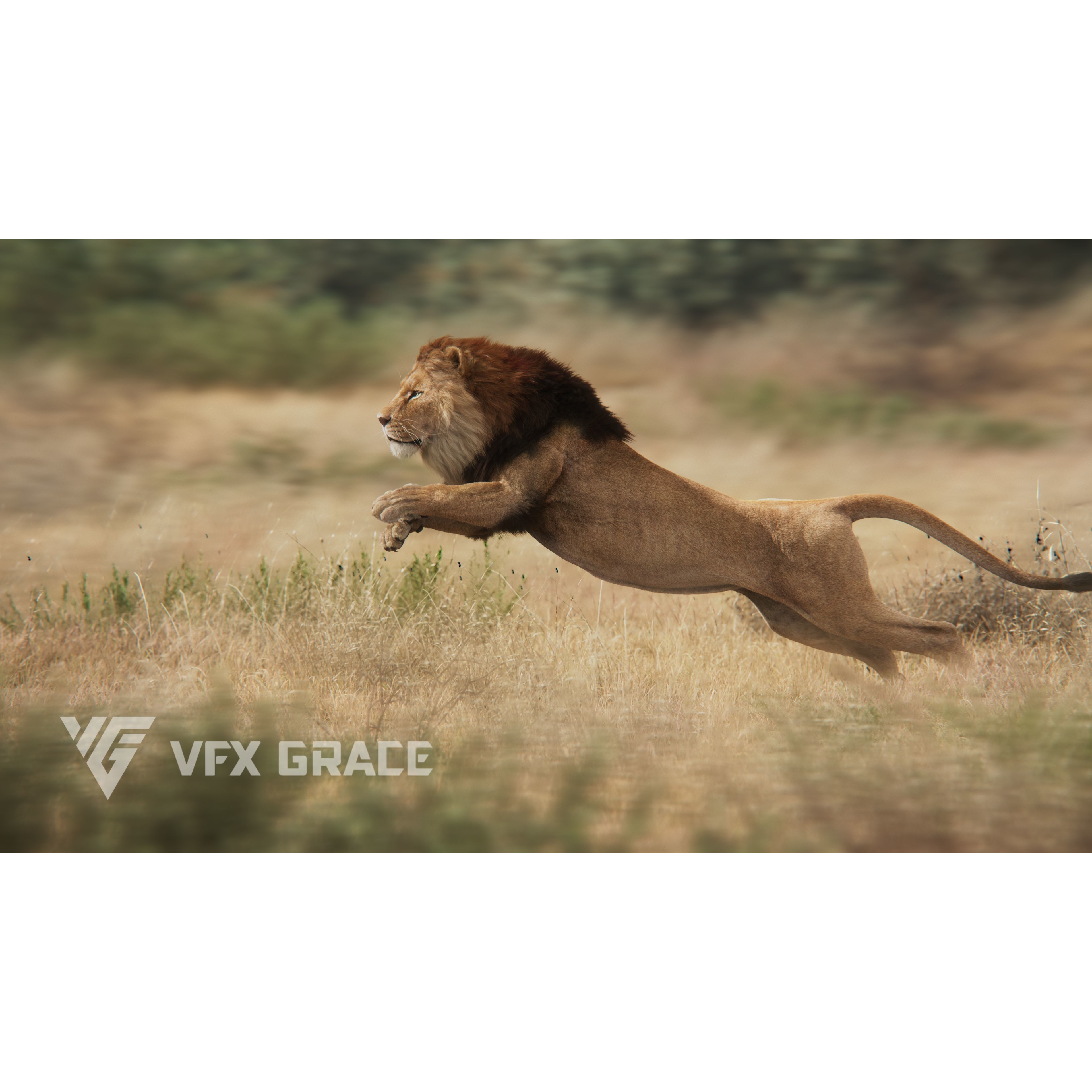 Male Lion Animated VFX Grace 3D model 2