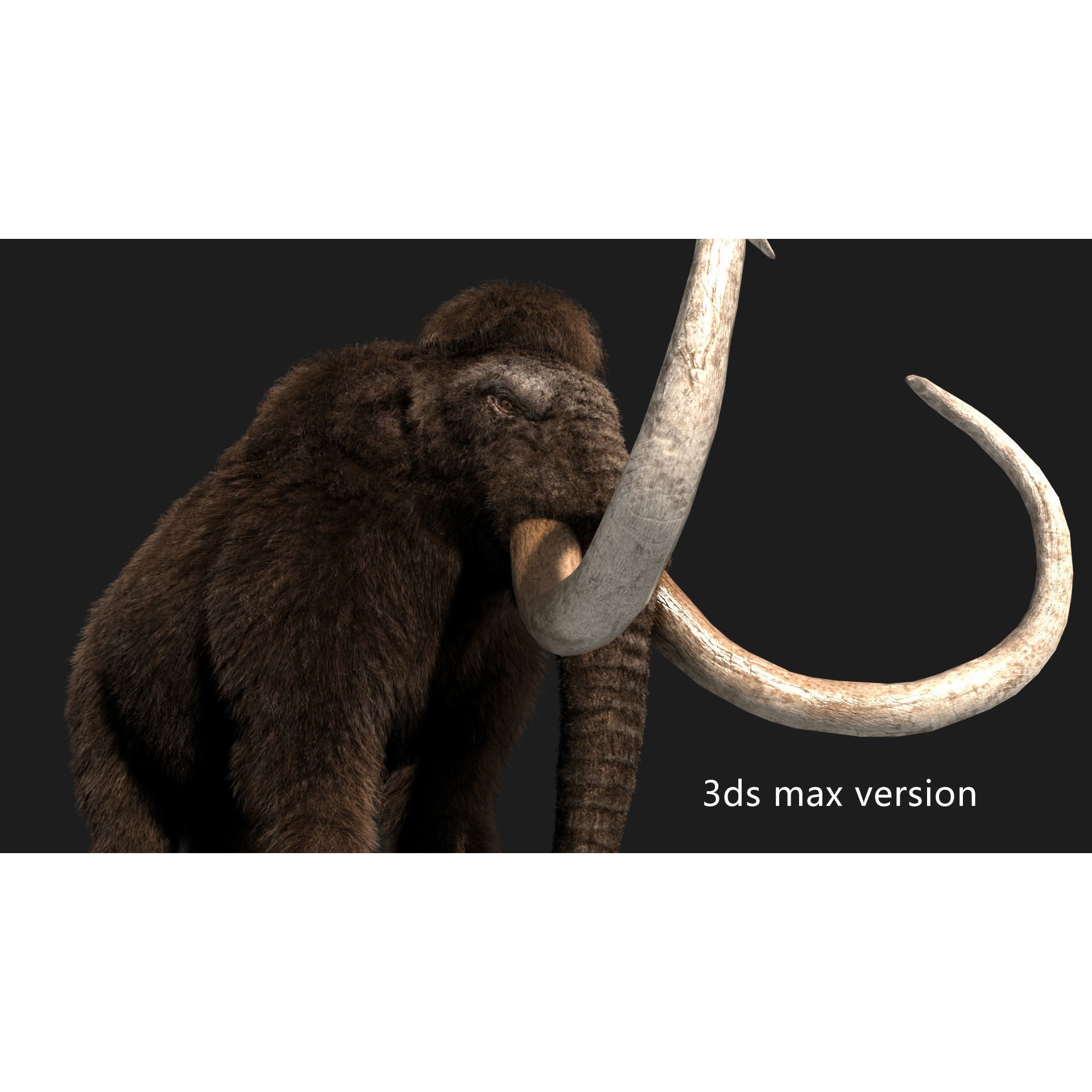 mammoth elephant Low-poly 3D model 2