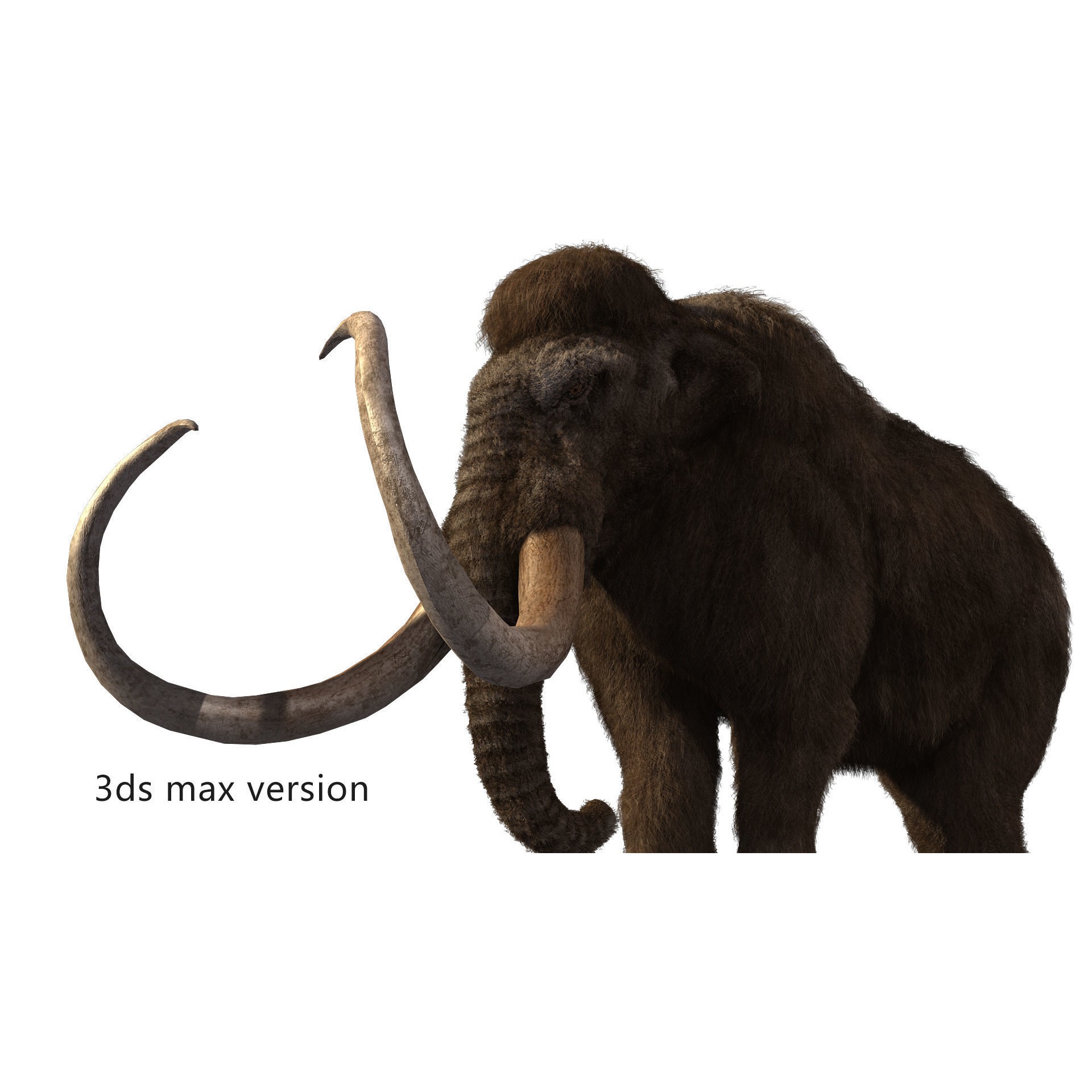 mammoth elephant Low-poly 3D model 3