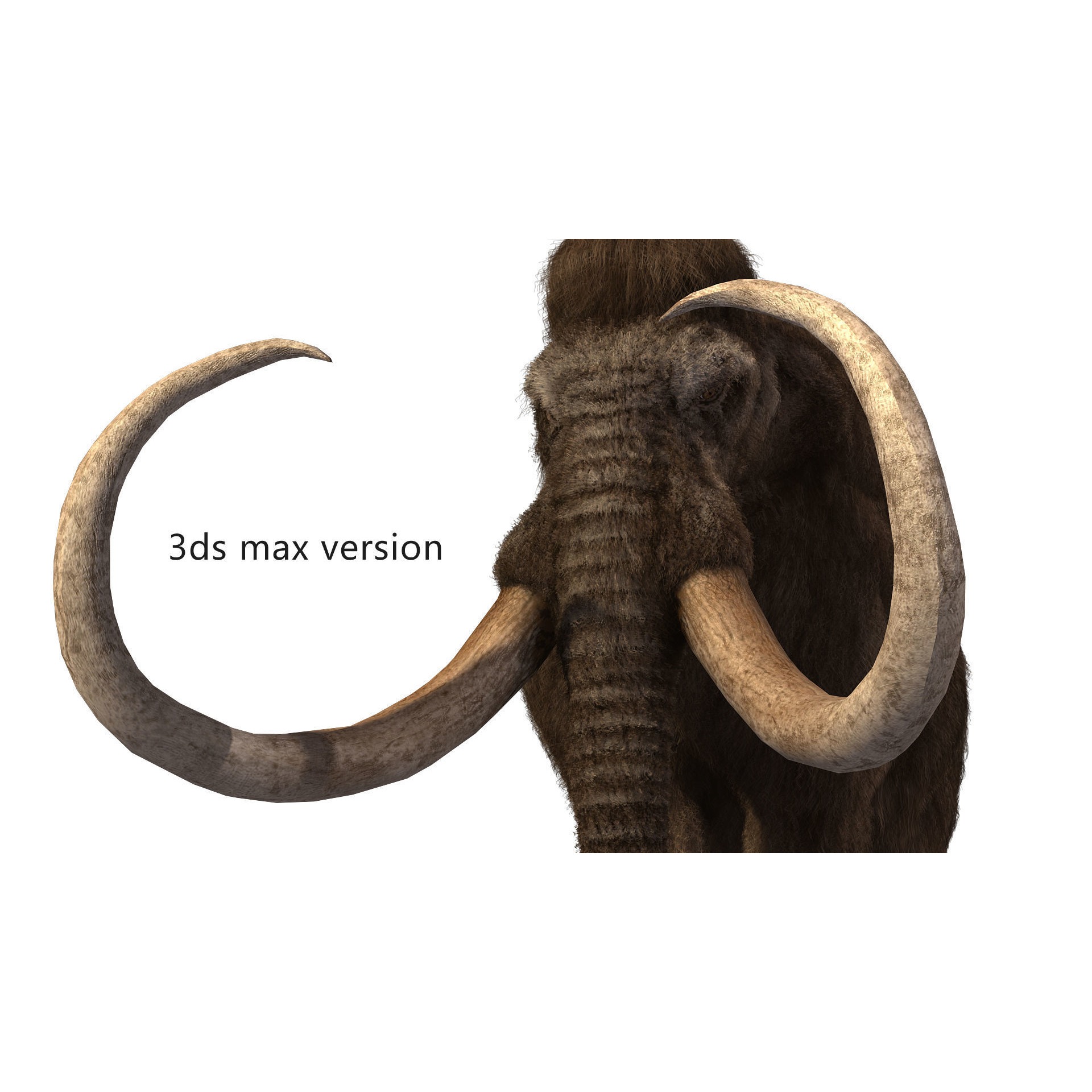 mammoth elephant Low-poly 3D model 4