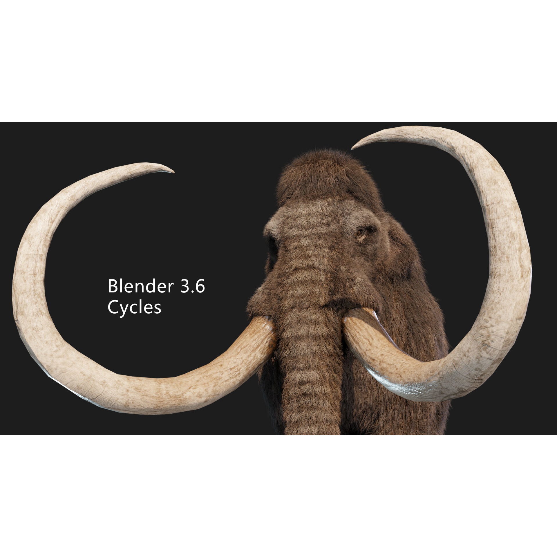 mammoth elephant Low-poly 3D model 5
