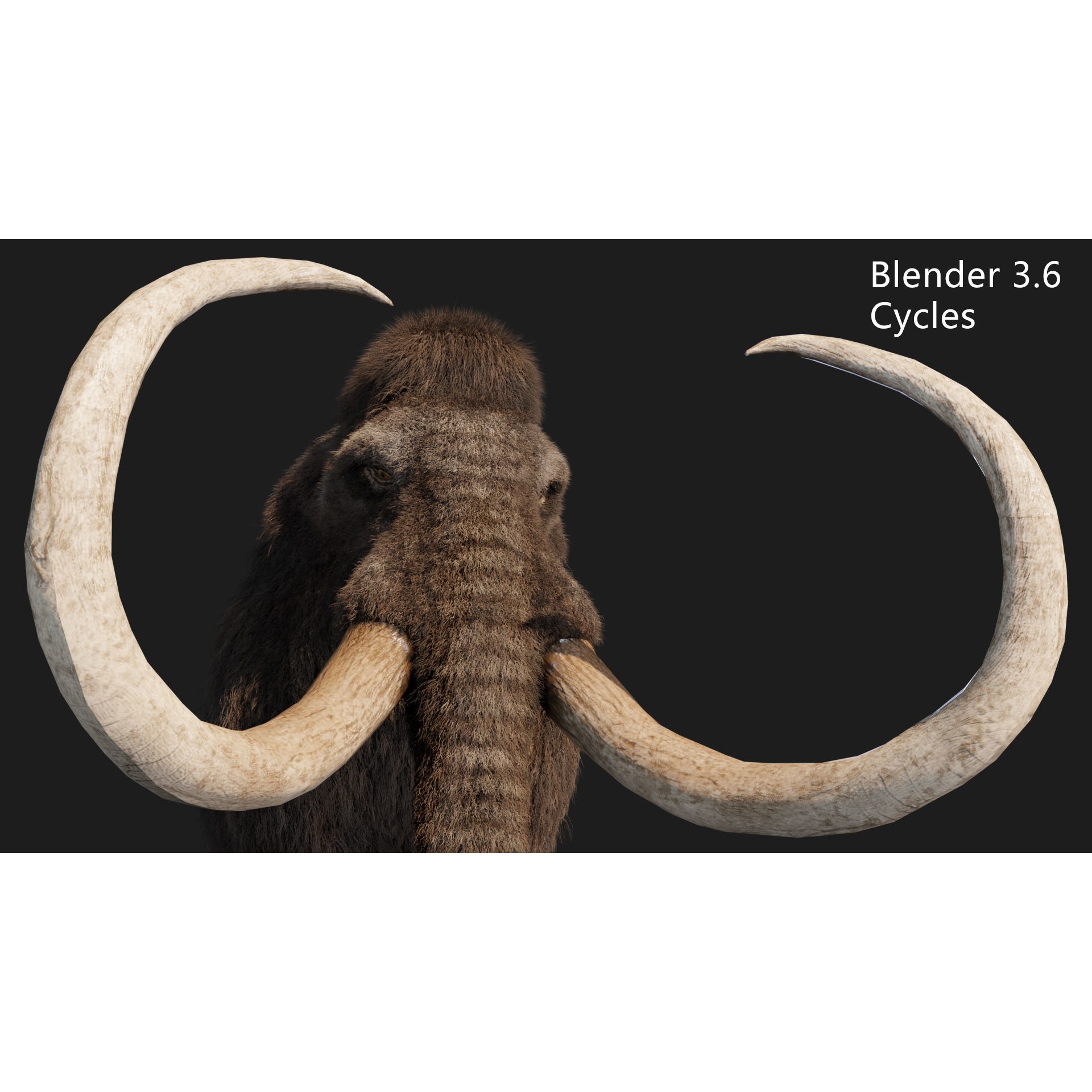 mammoth elephant Low-poly 3D model 6
