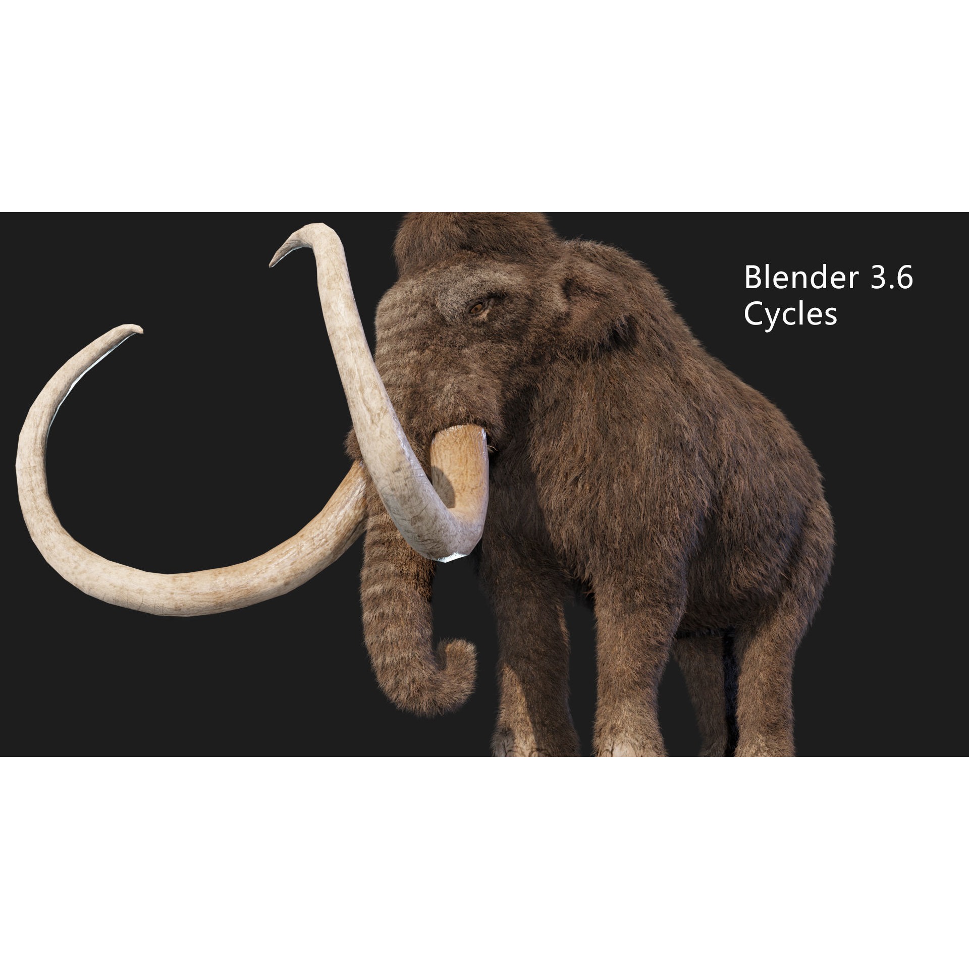 mammoth elephant Low-poly 3D model 7