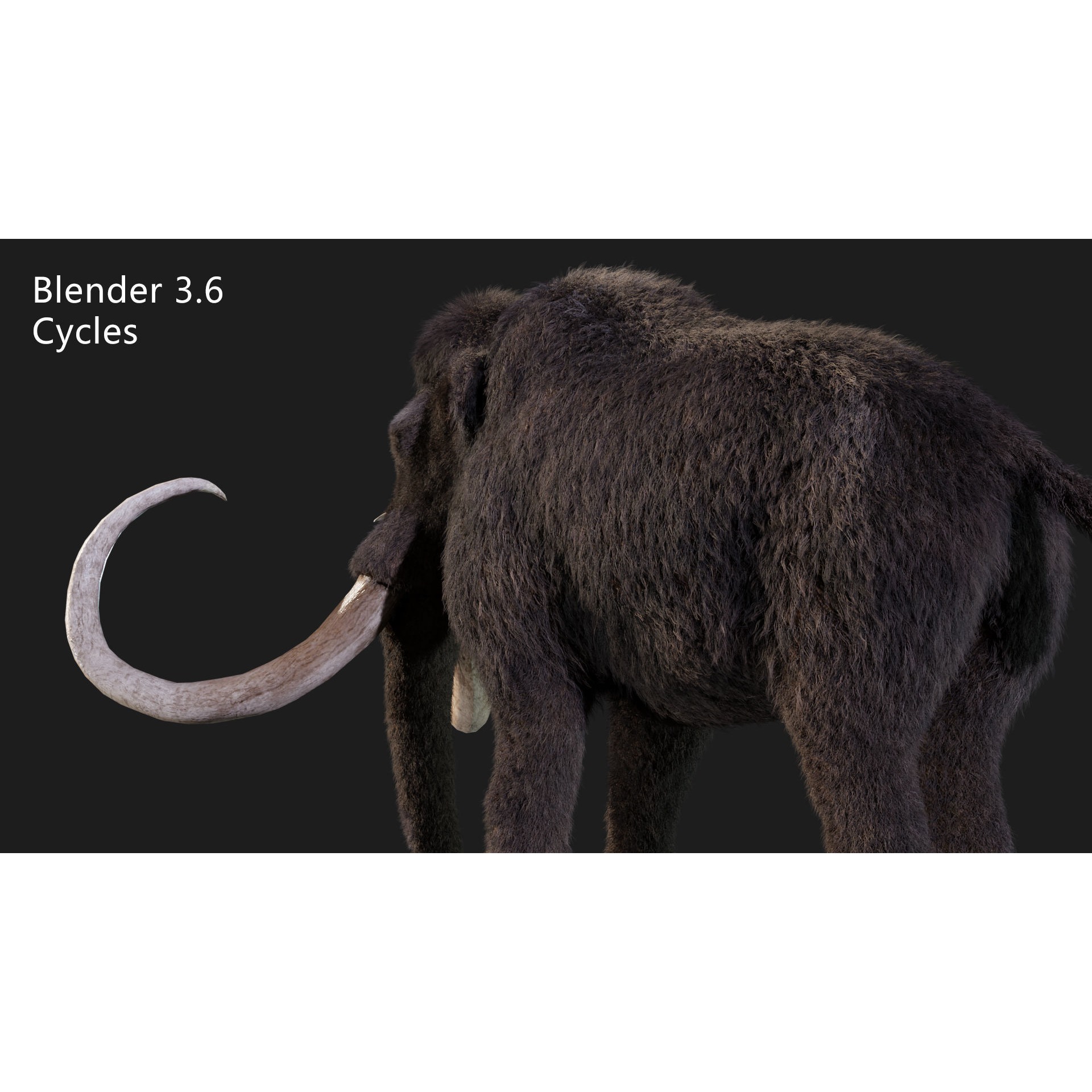 mammoth elephant Low-poly 3D model 8