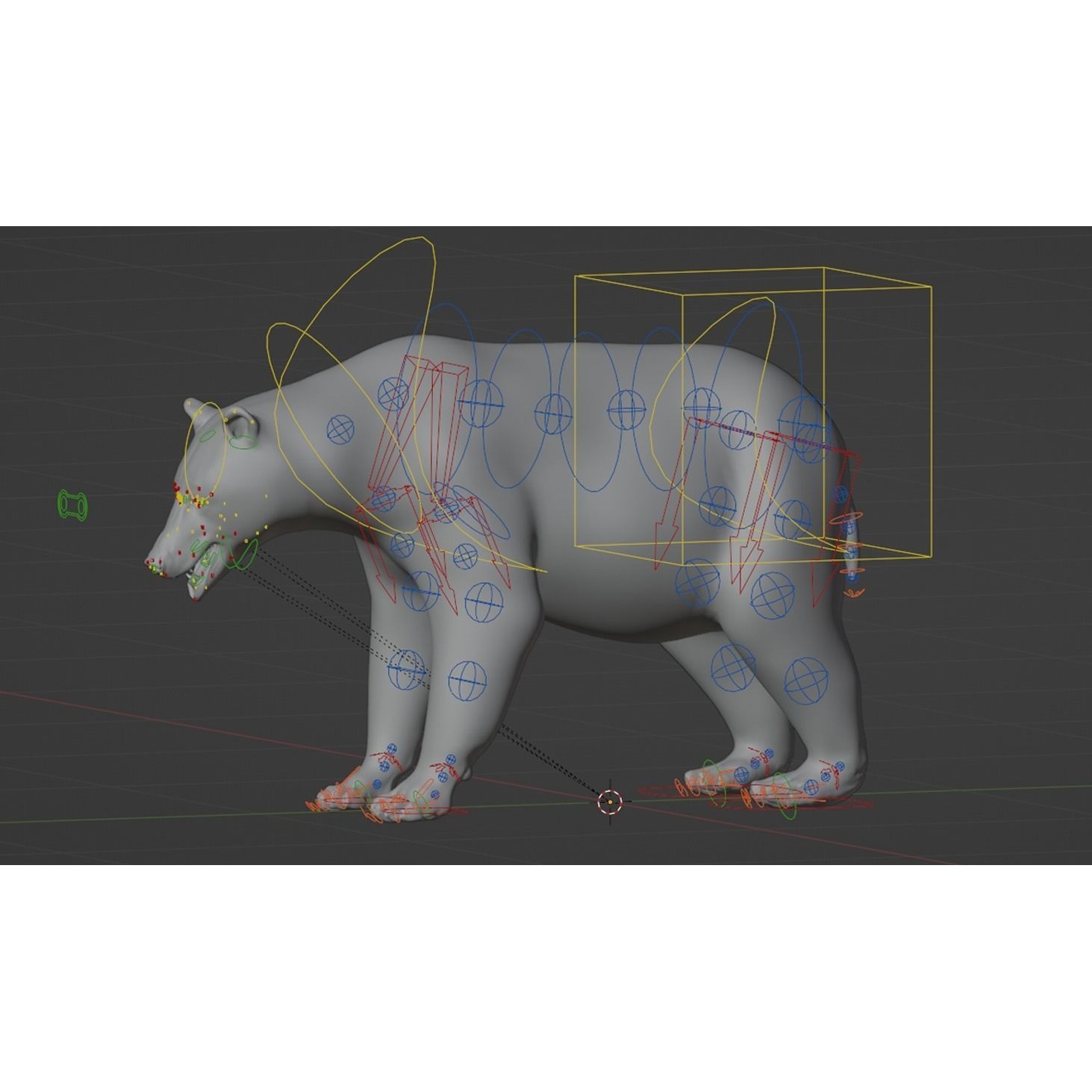 Marsican Bear Animated 3D model 7