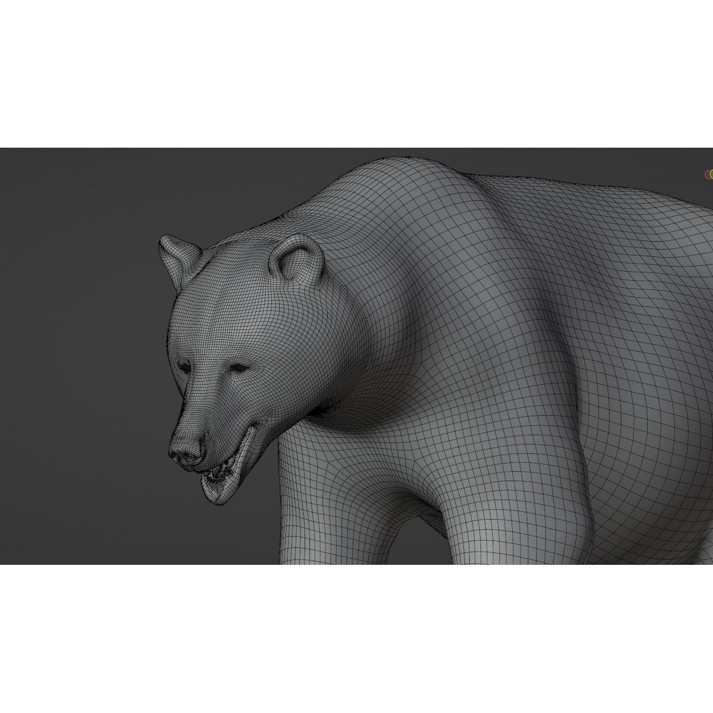 Marsican Bear Animated 3D model 10